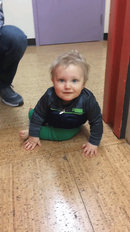 giphy+(2).gif
