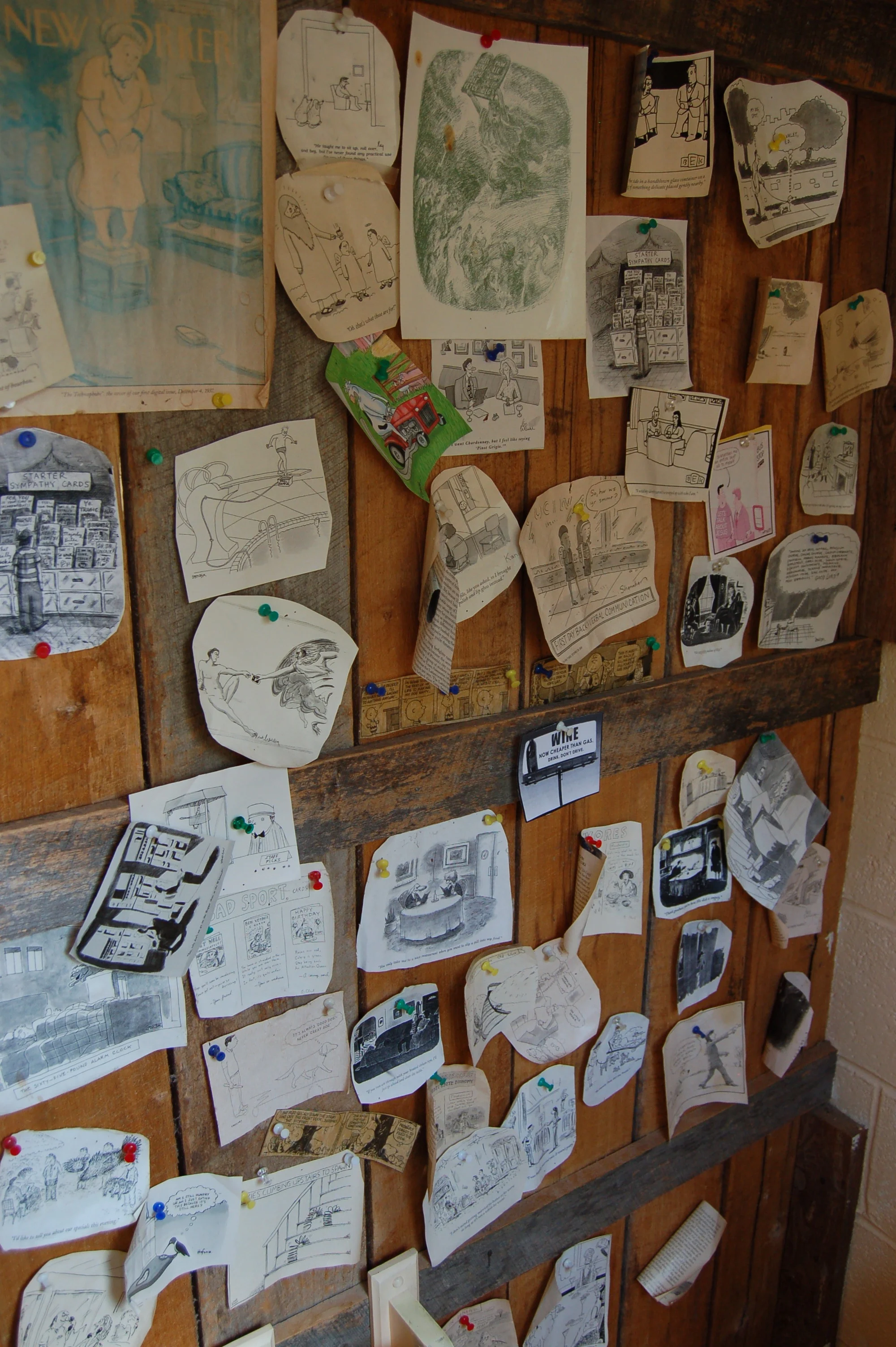 basics cartoon restroomjpeg.jpeg