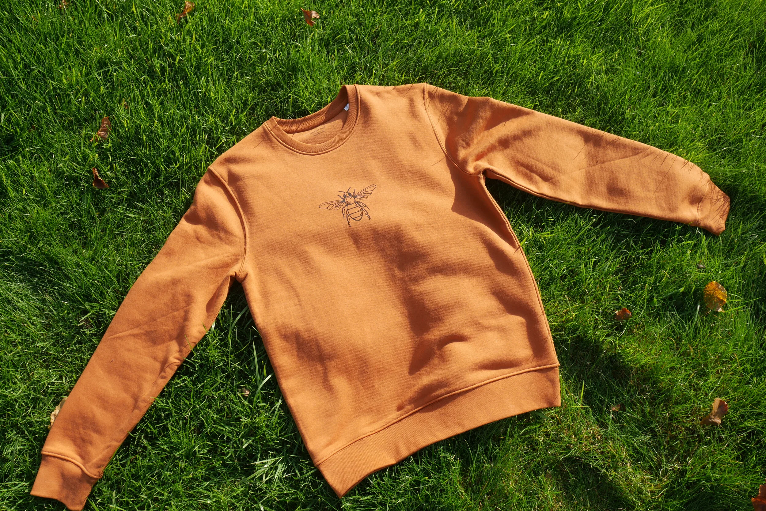 bee jumper 4.jpg