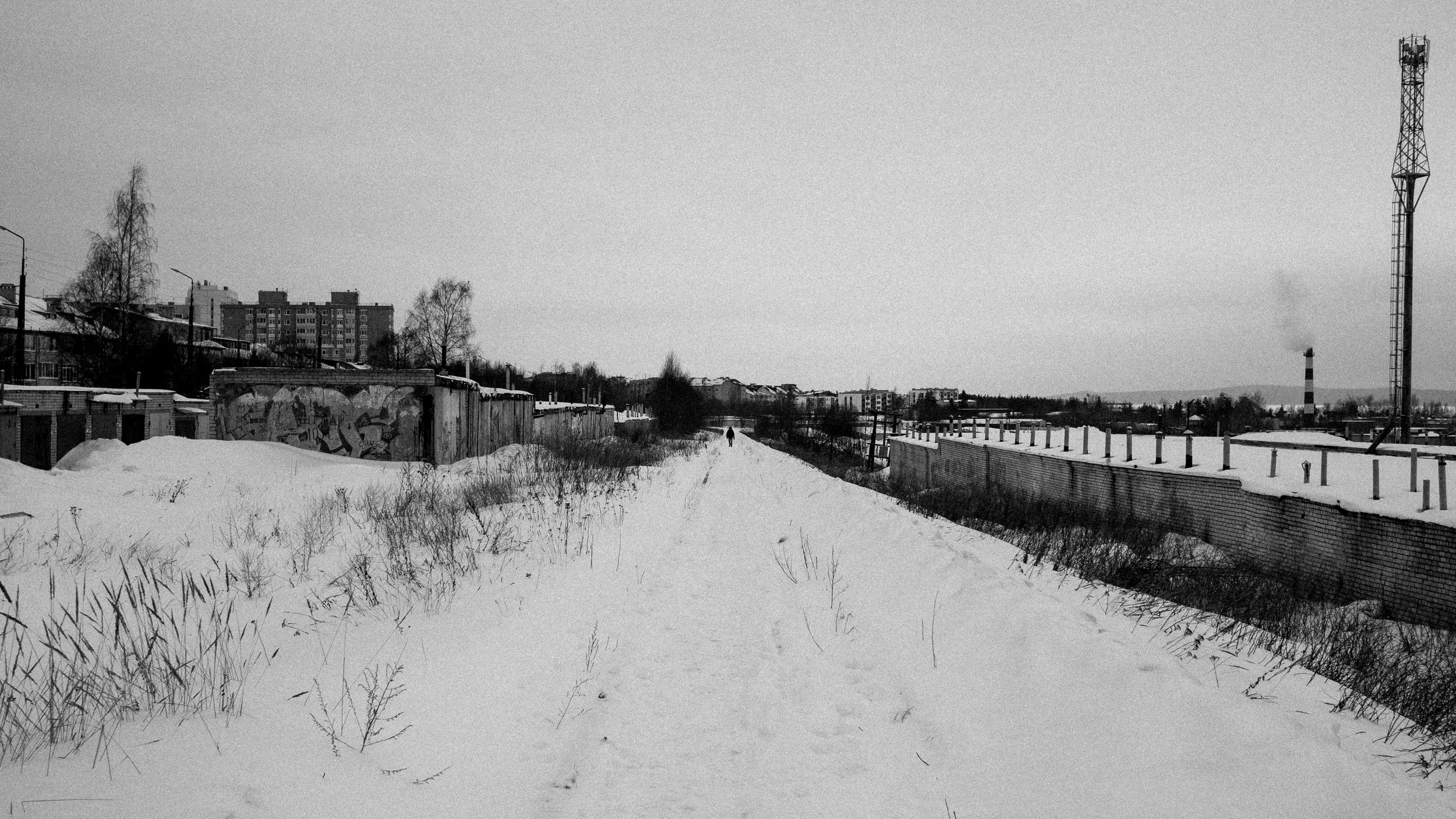 P1350570.jpg