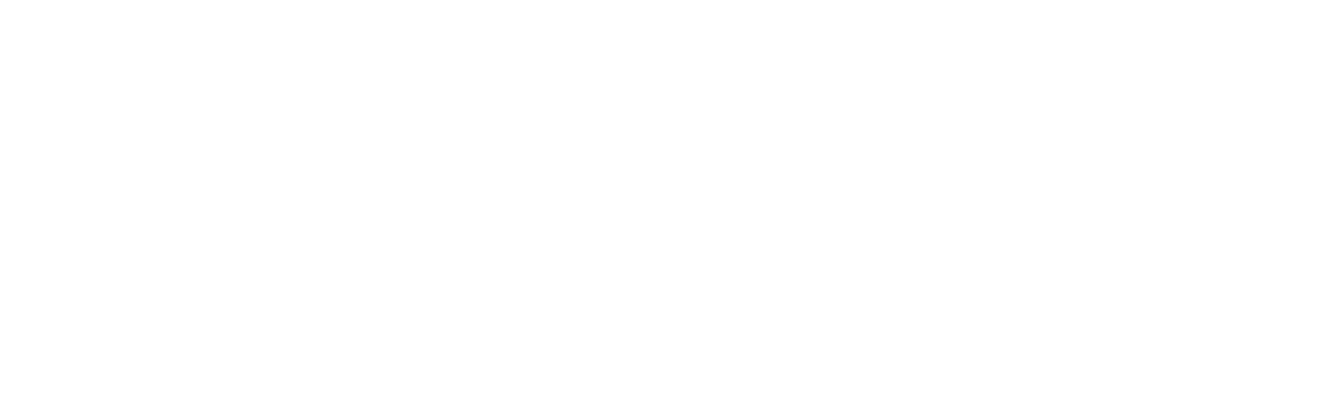 Connect VIP