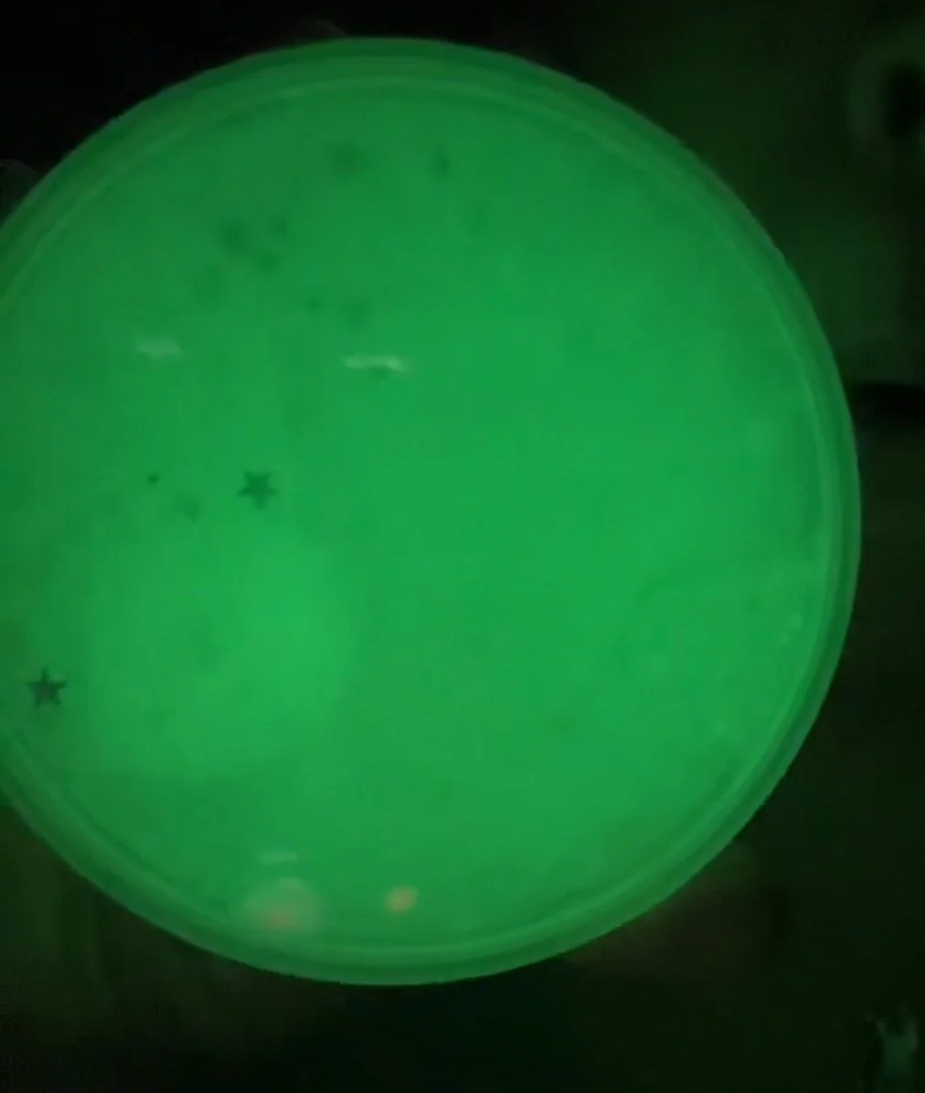 Ceiling Stars (Glow Putty)