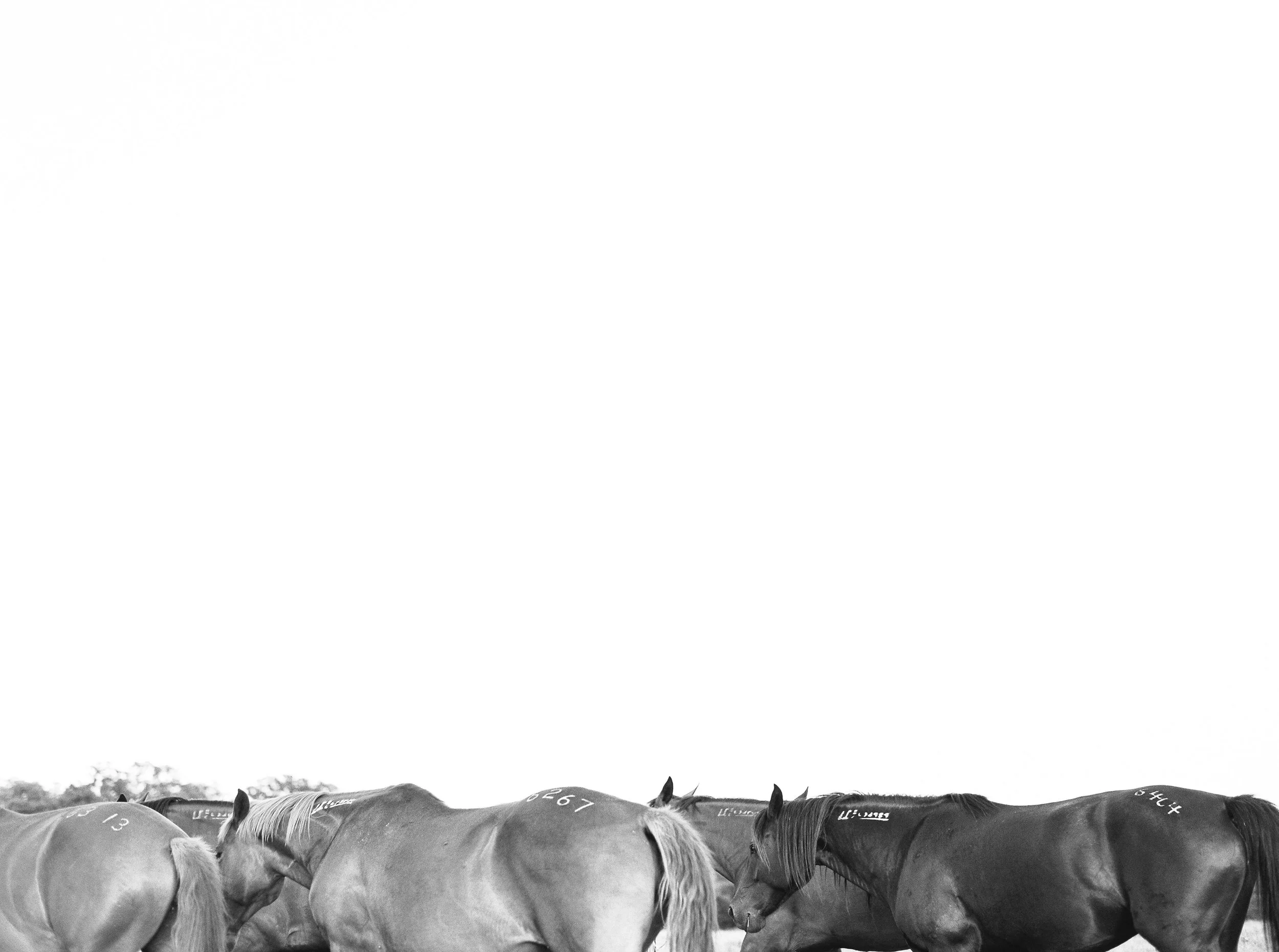 37328_11-2.jpg