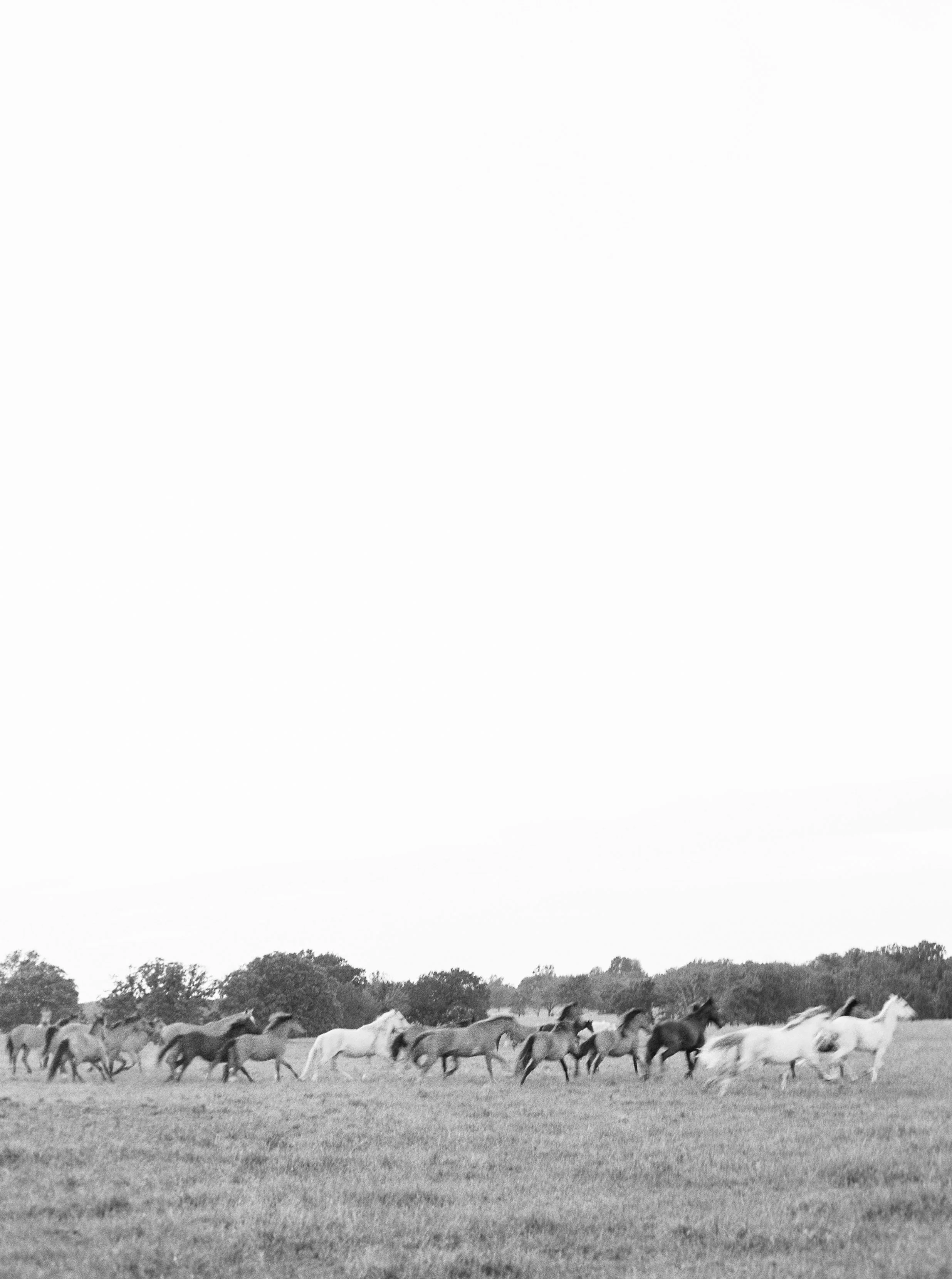 37329_07-2.jpg