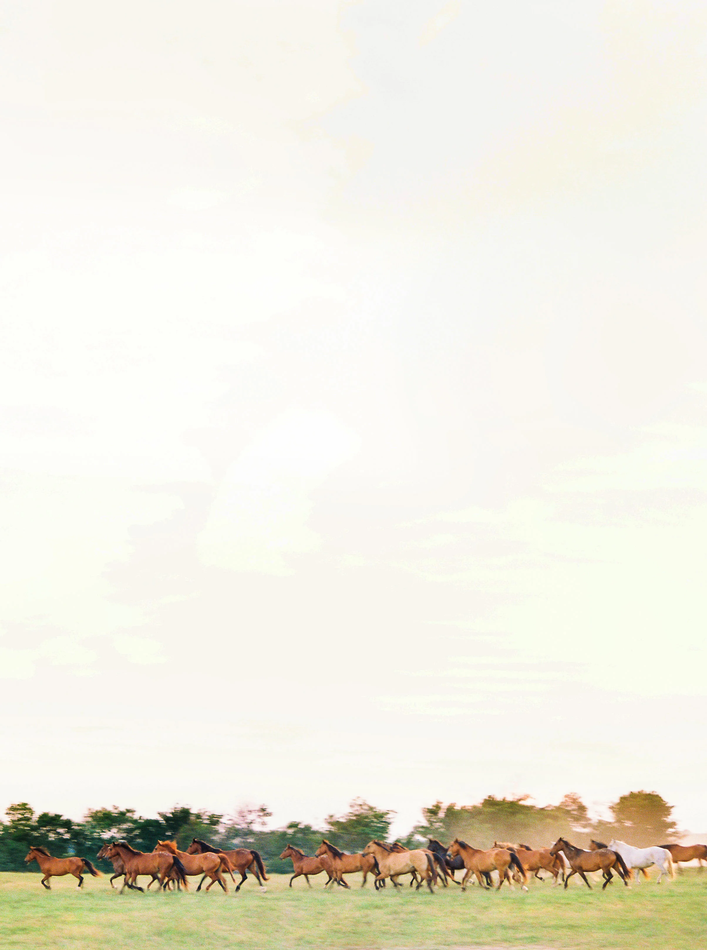 37329_12a.jpg