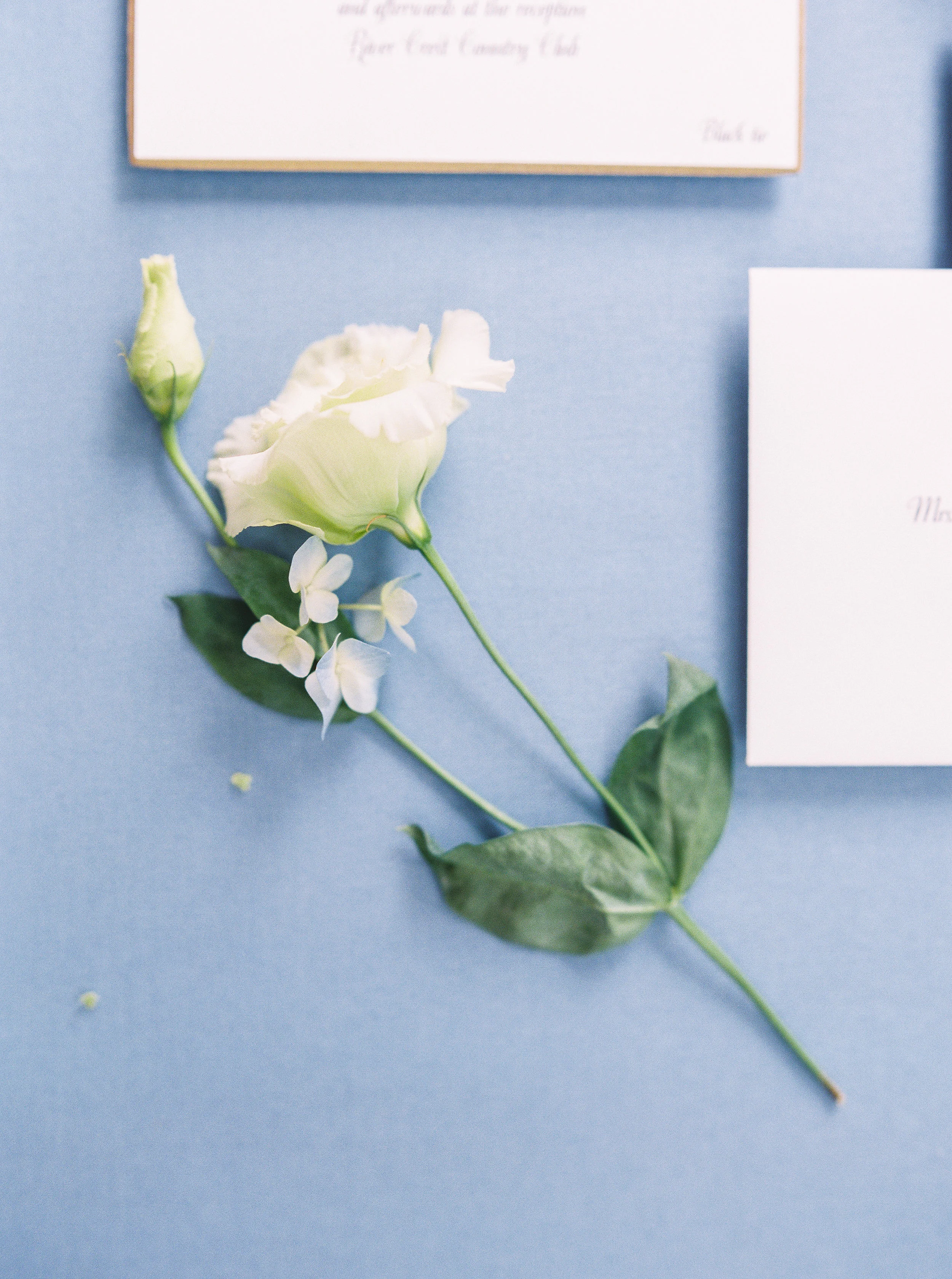 YoungInnisWedding0031.JPG