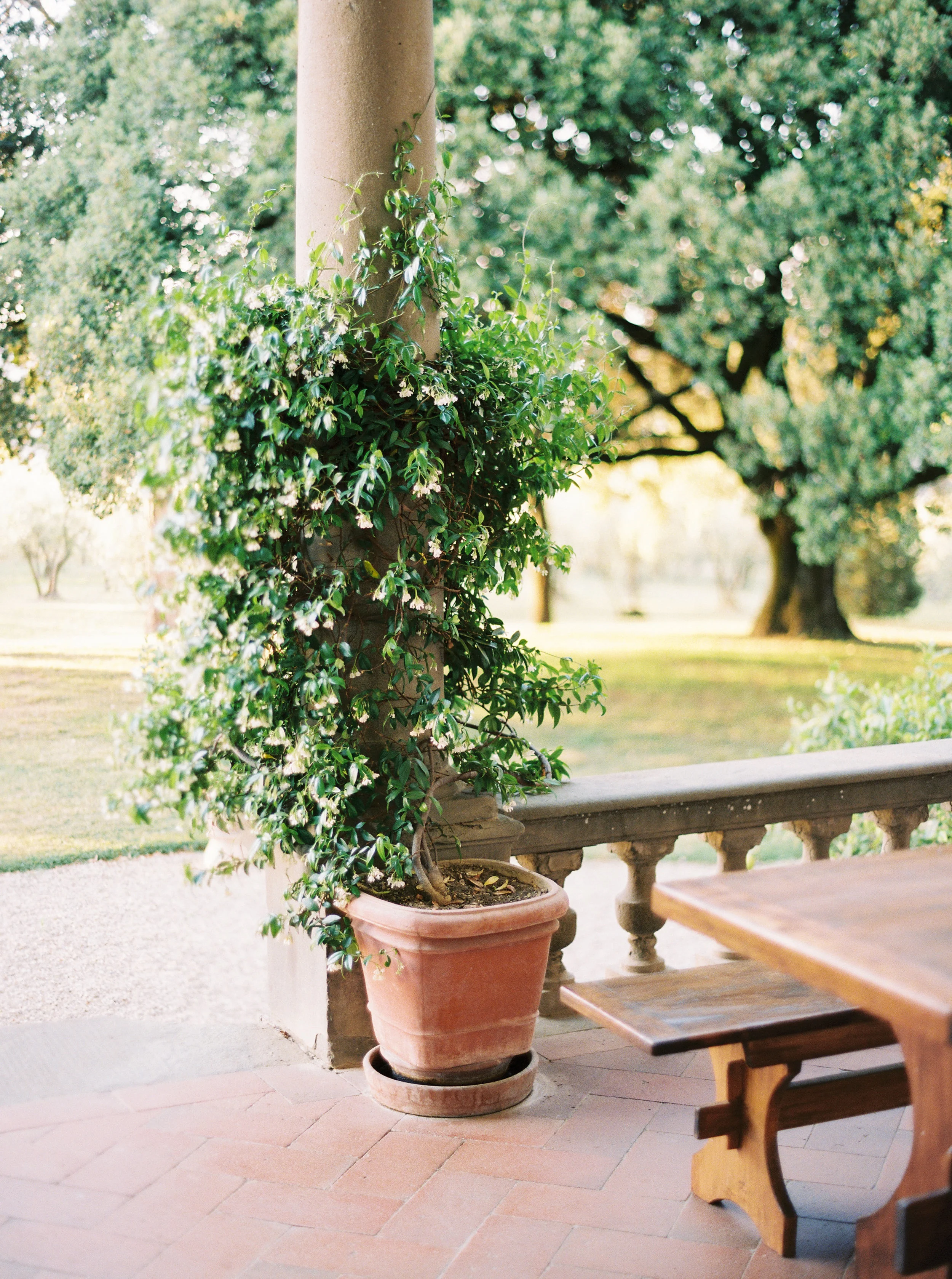 CamilleStylesItaly003.JPG