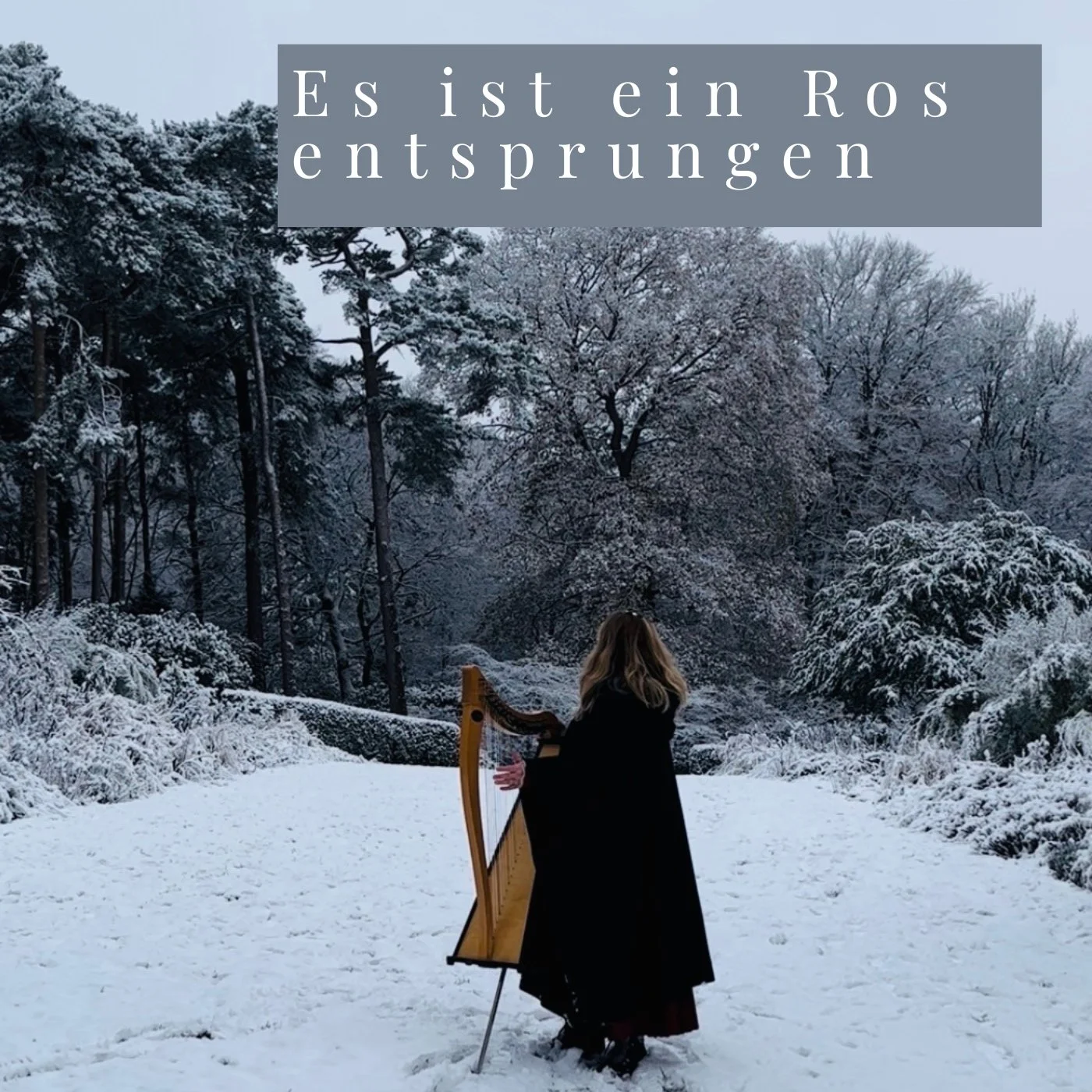 Es ist ein Ros' entsprungen: sheet music