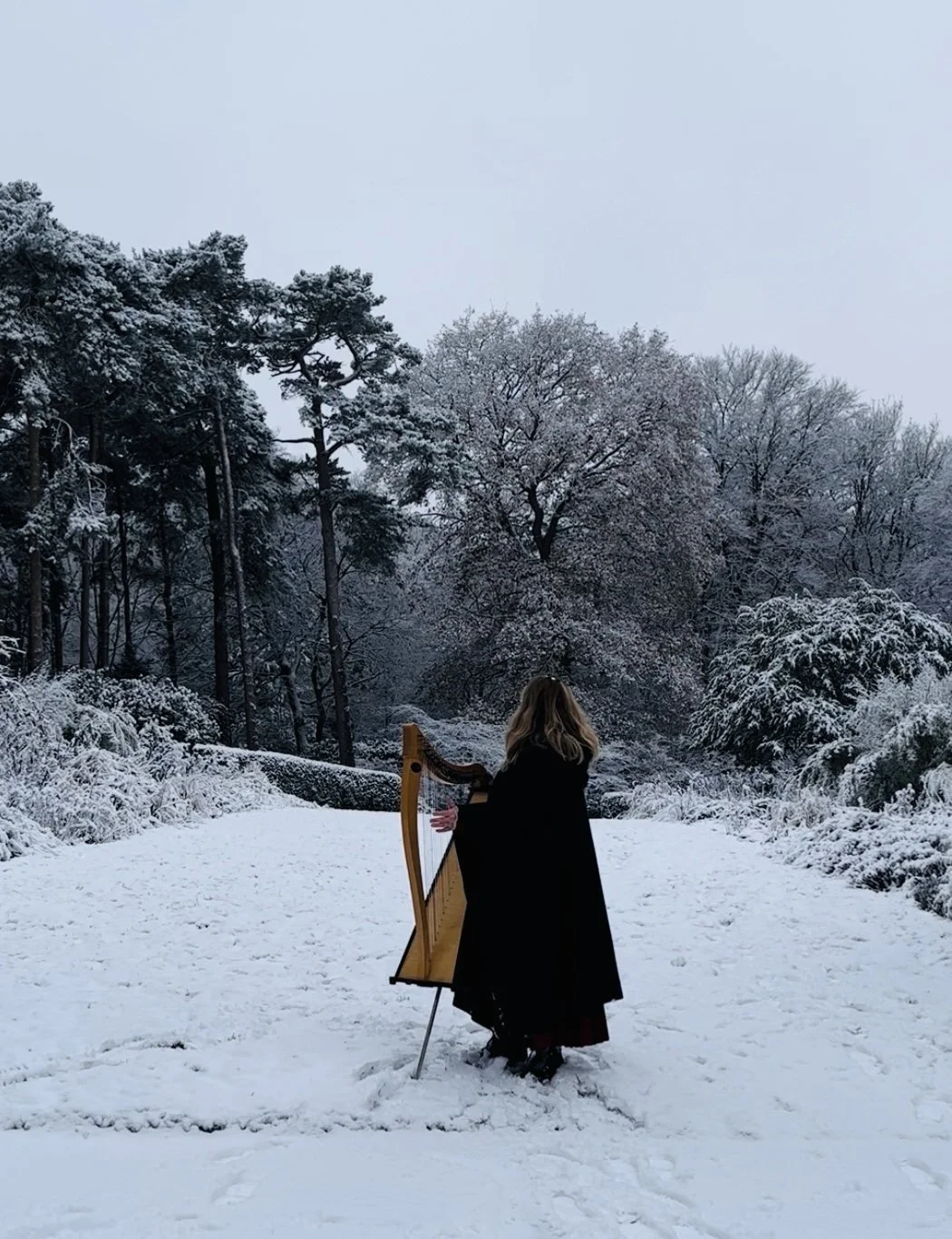 Solo Winter Recital: Butser Ancient Farm