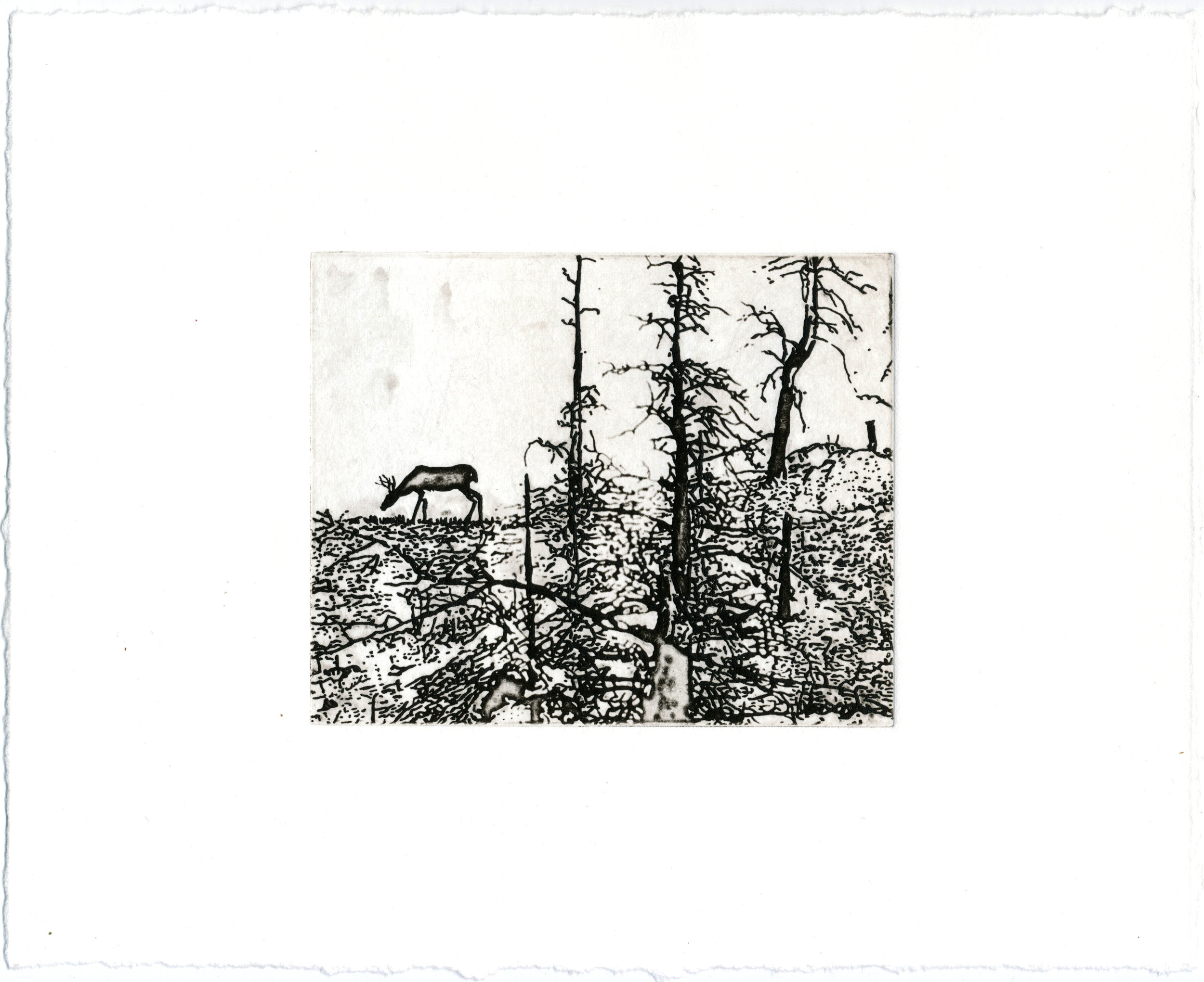 Charcoal Remnants, 9.5 x 11.5," solarplate etching