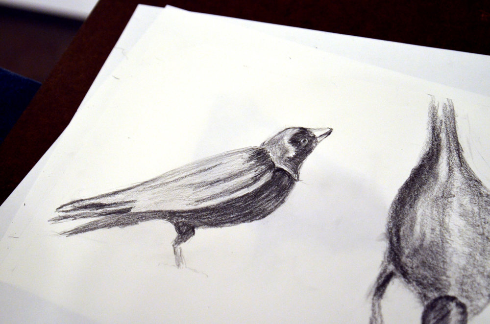 Rosie McGraw drawing of birds in Julie Buffalohead's "Straight Legs" painting