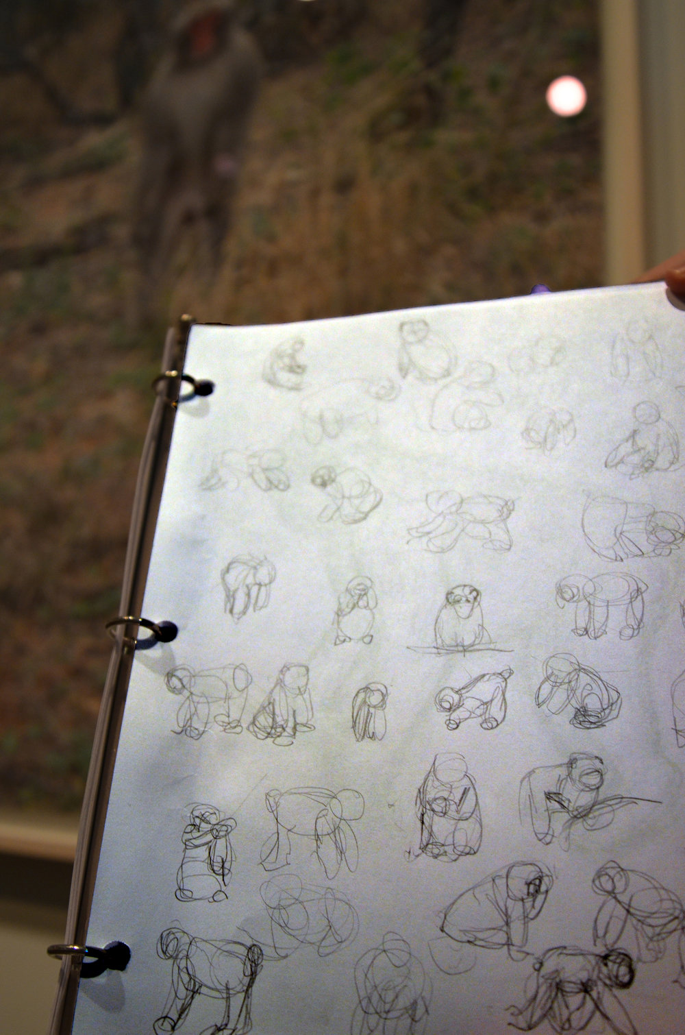 William Wise's gesture drawings of Shimabuku's video “Do snow monkeys remember snow mountains?"