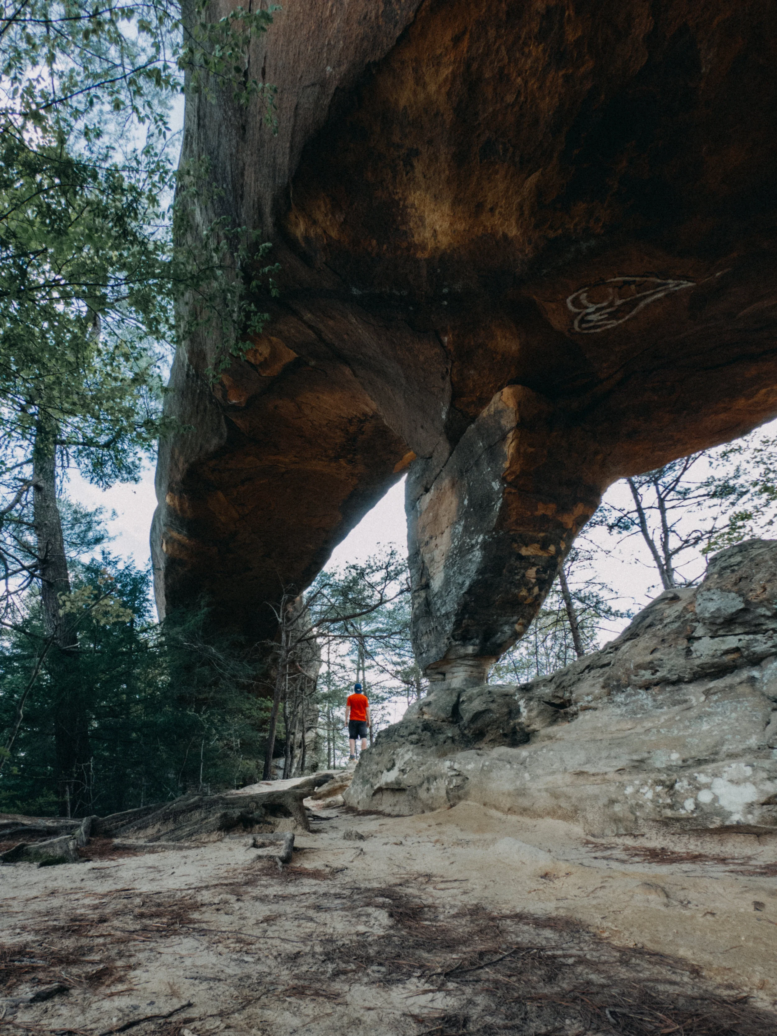 red river gorge-13.jpg