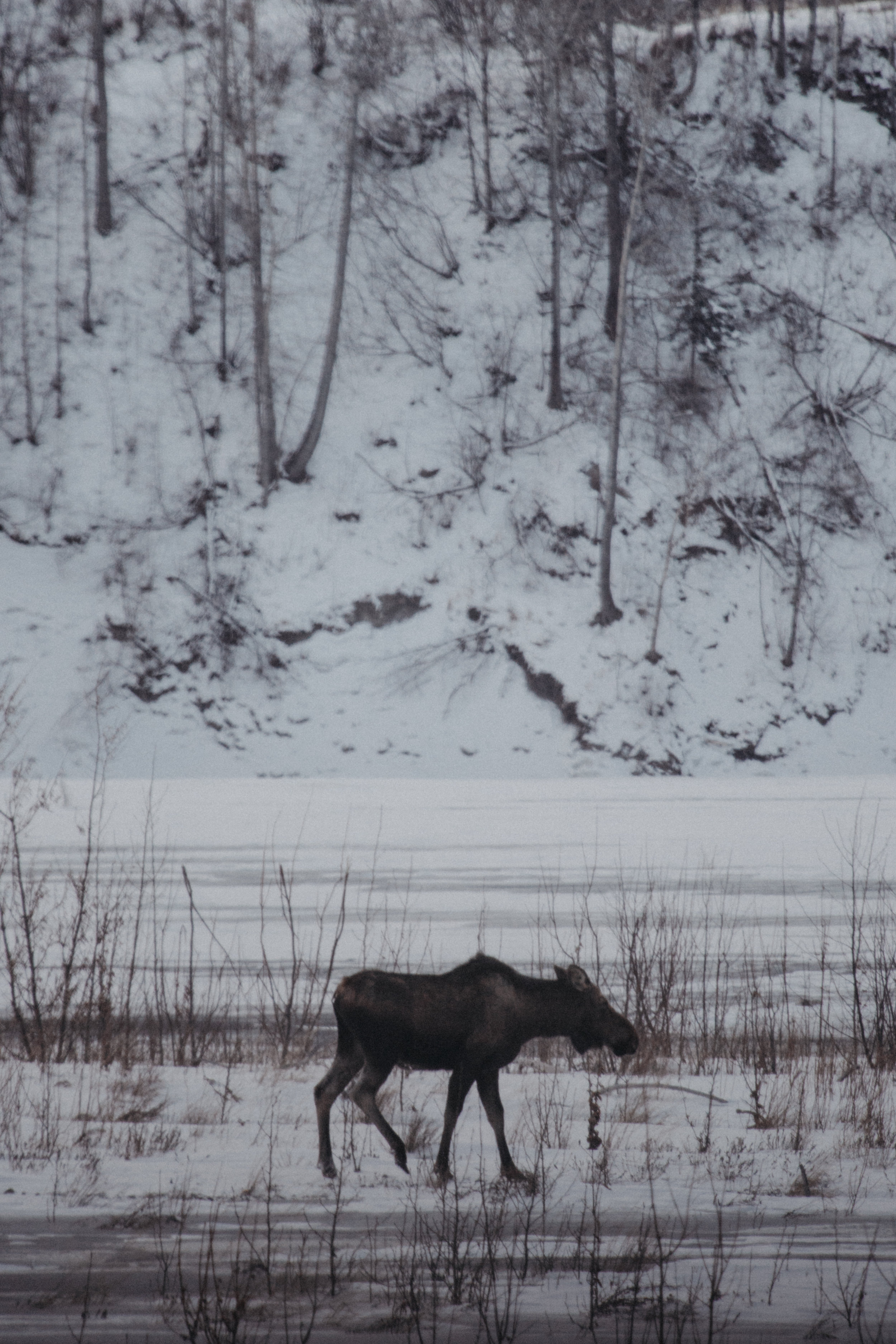 Alaska-62.jpg