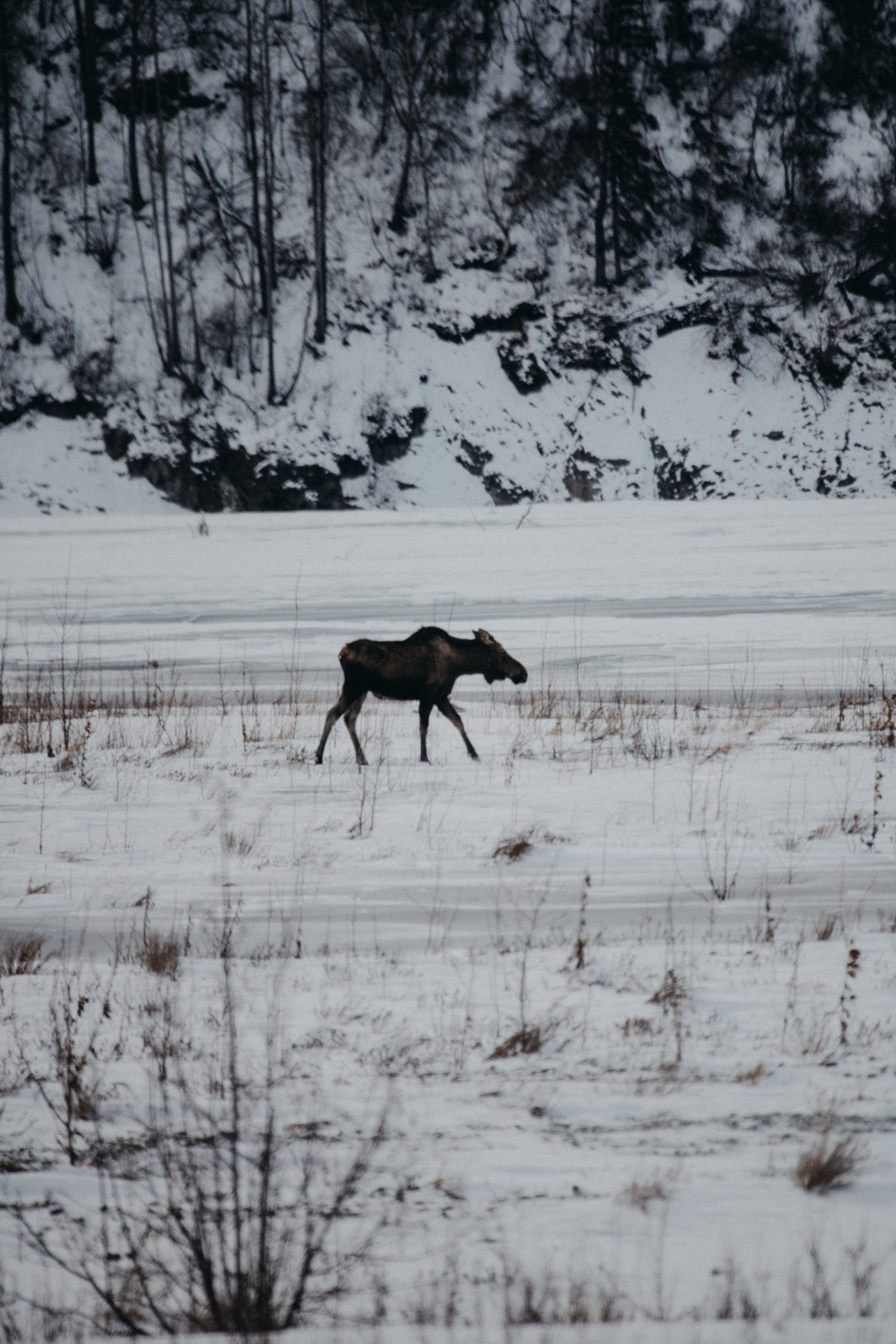 Alaska-63.jpg