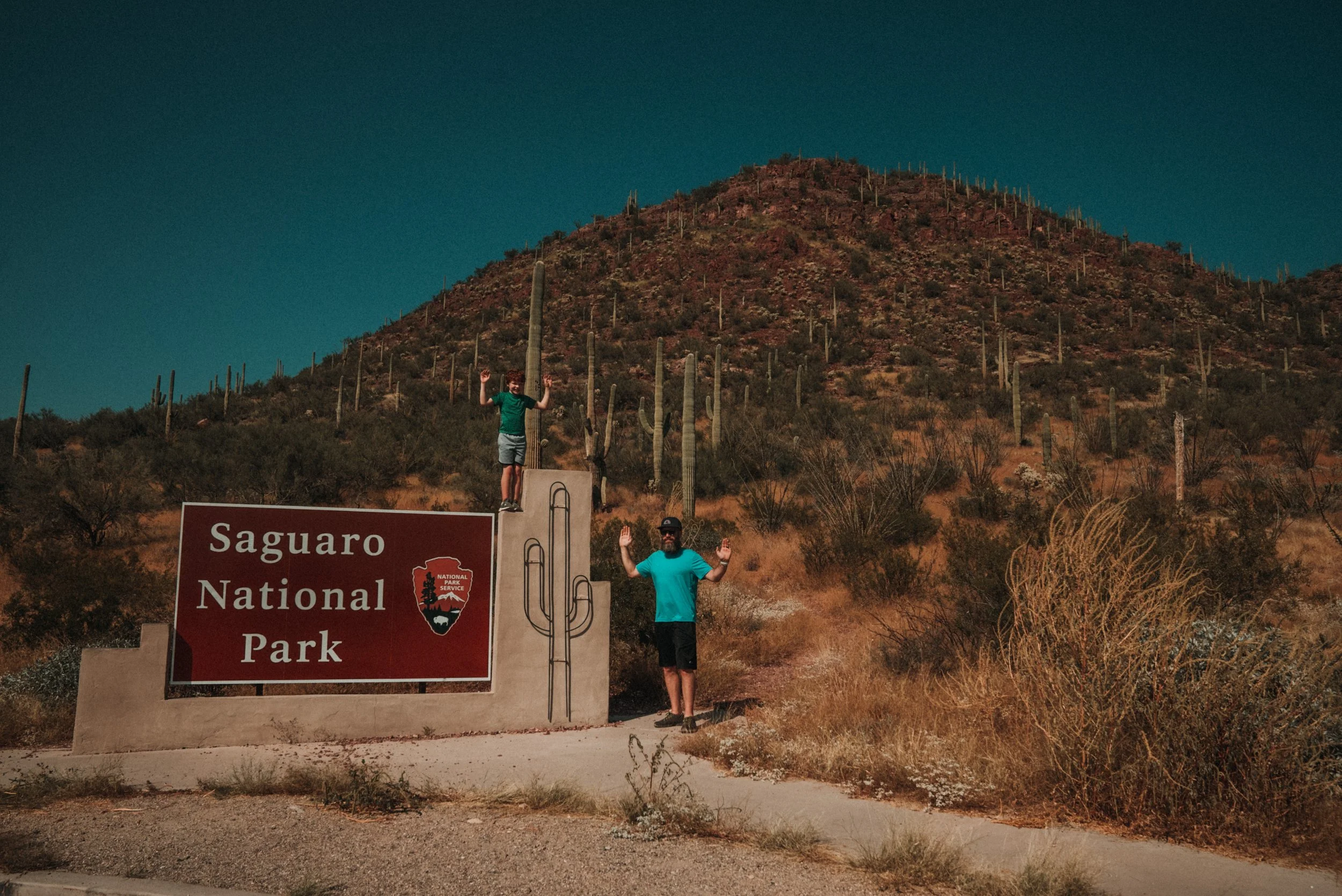 Saguaro National Park