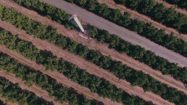 2019 Drone Surf Demo Reel