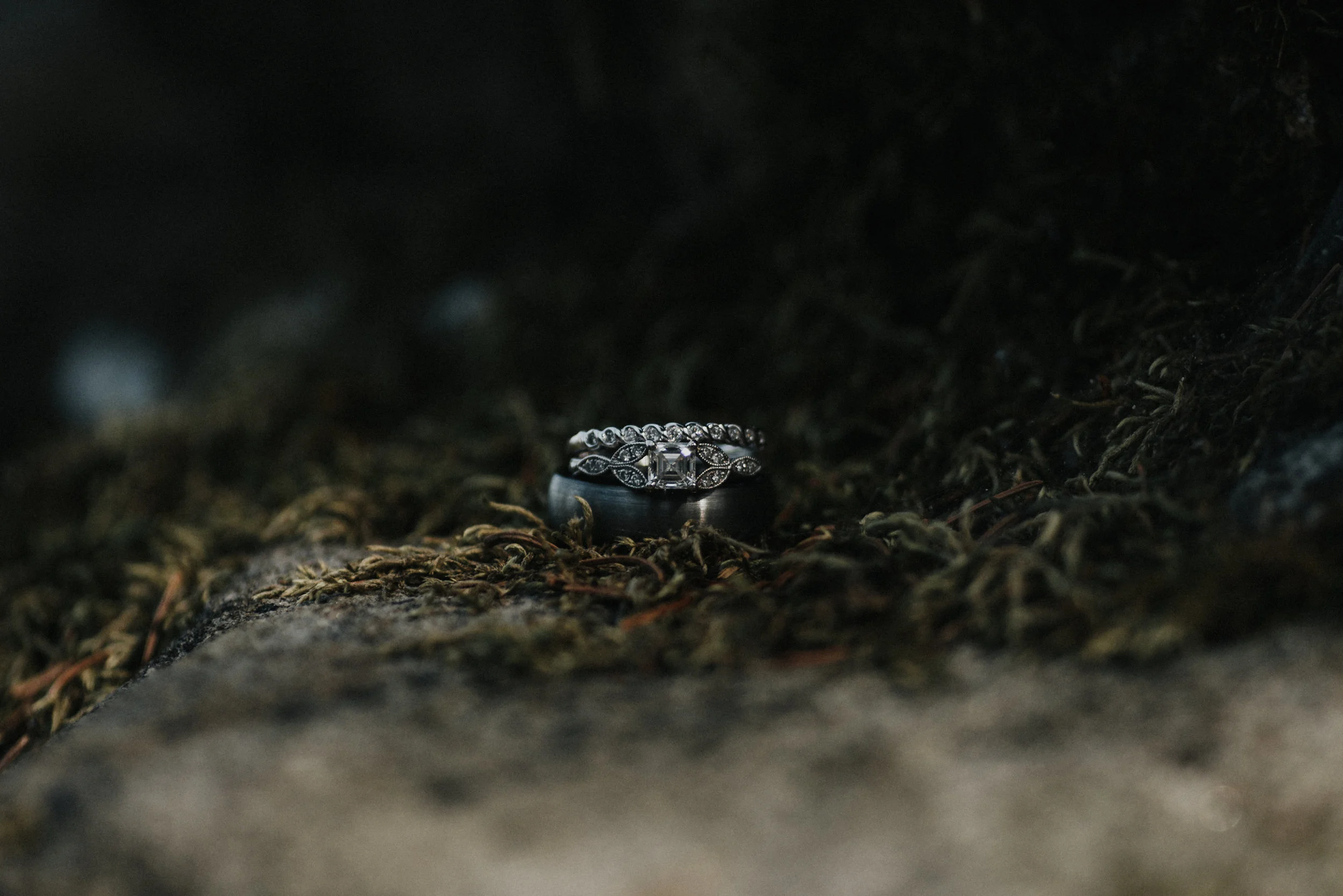 DSC_7667-Edit.jpg