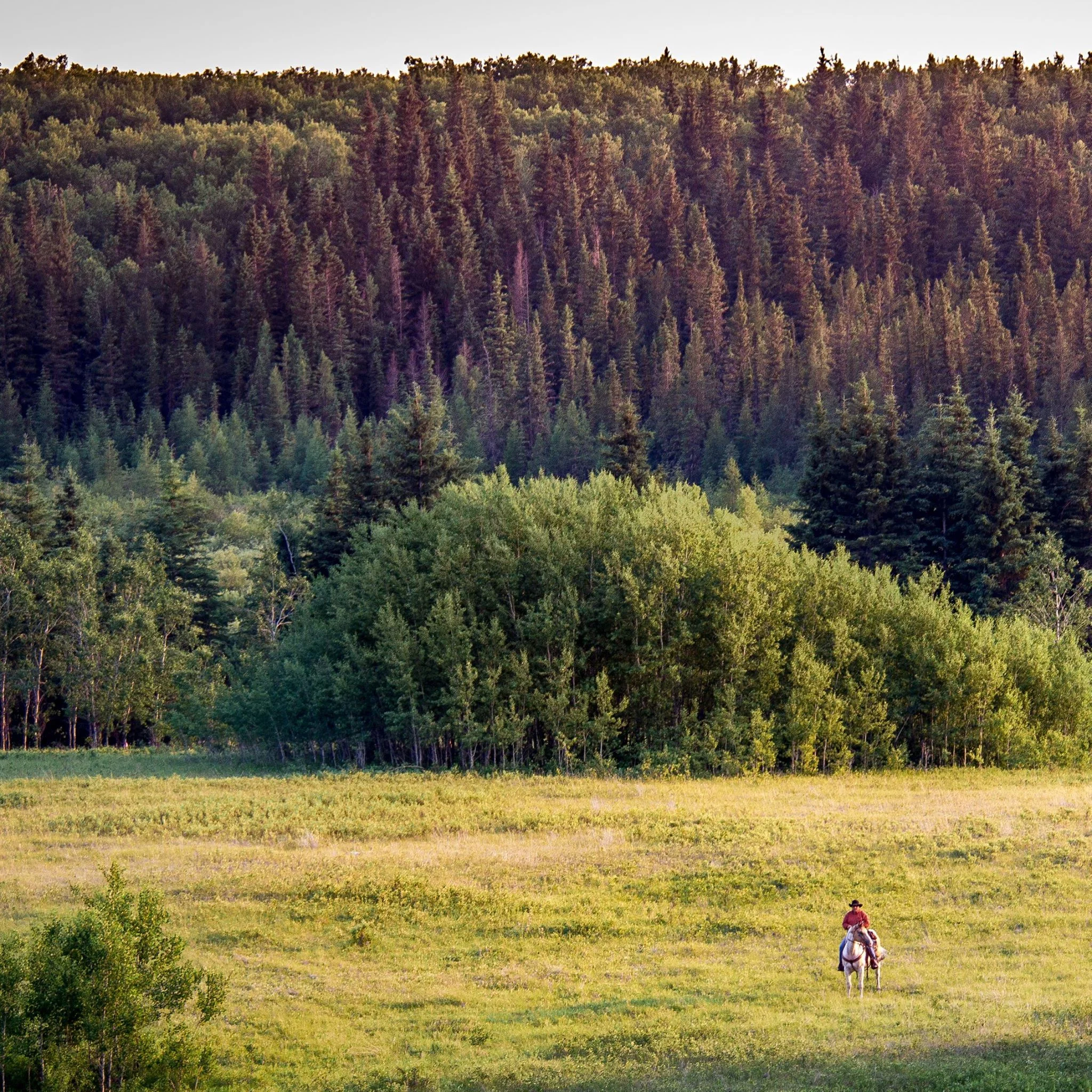 man on horse-scenic shot.jpg