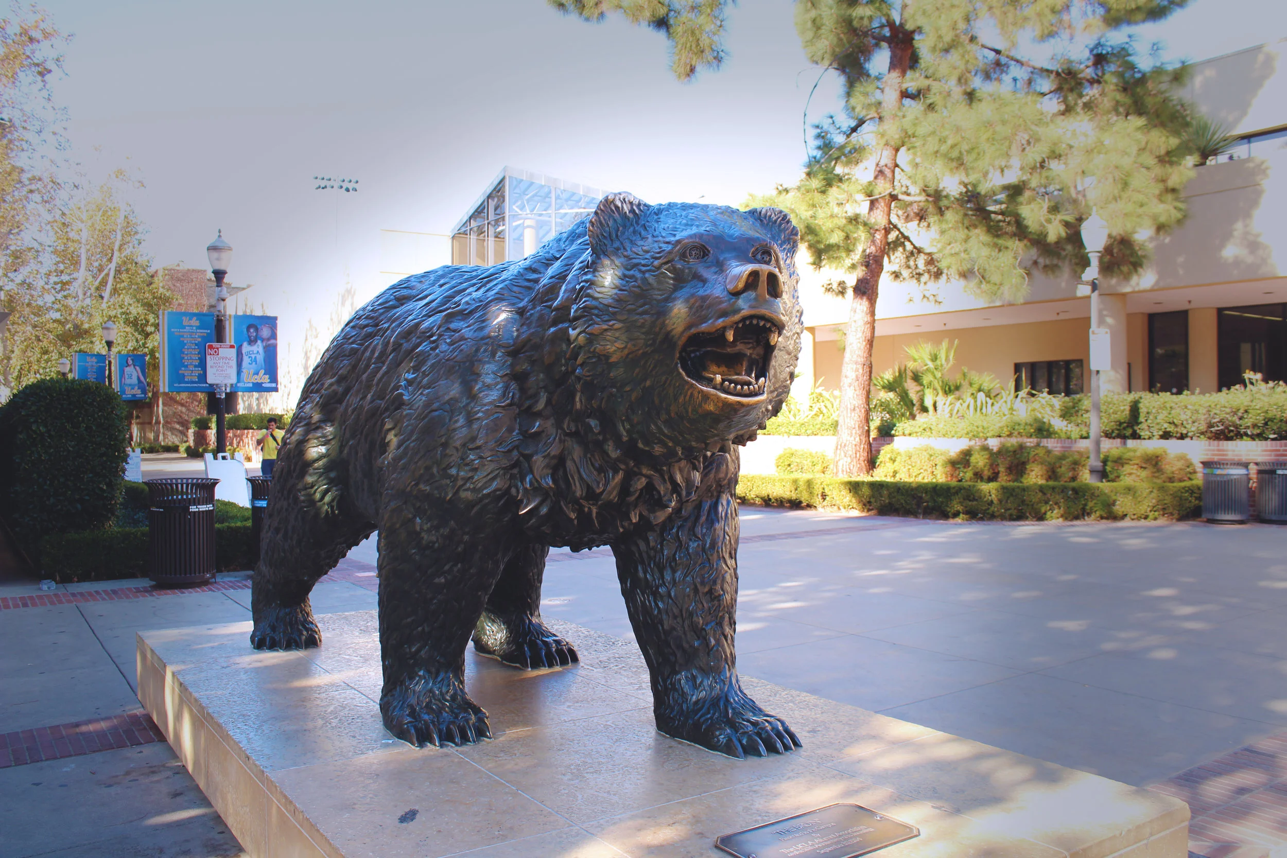 University of California, Los Angeles