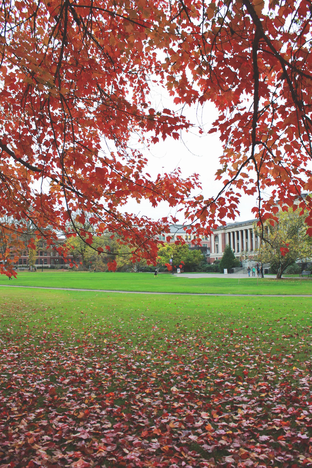 Oregon State University