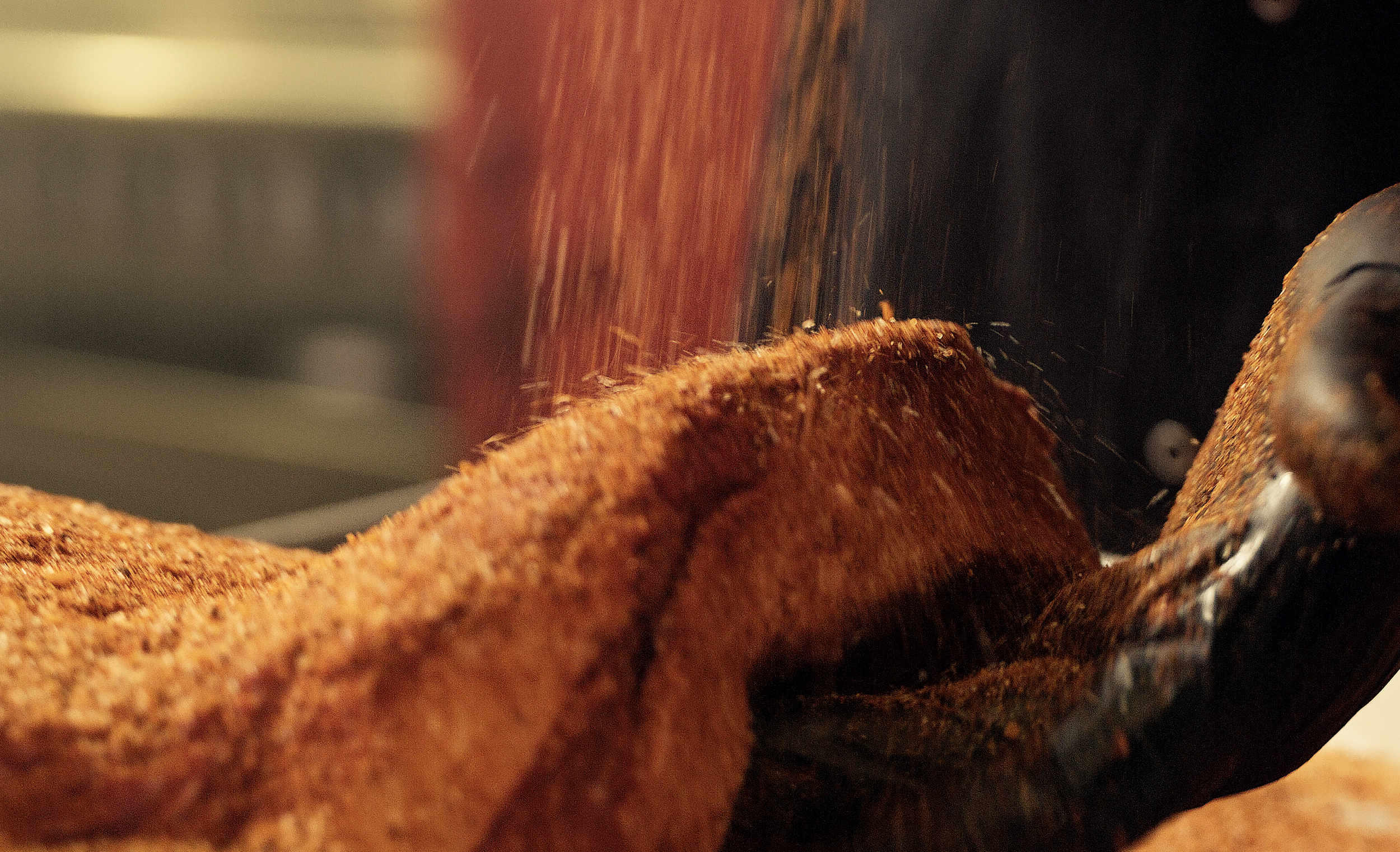 Screenshot 2026-04-23 at 9.55.49 AM.png