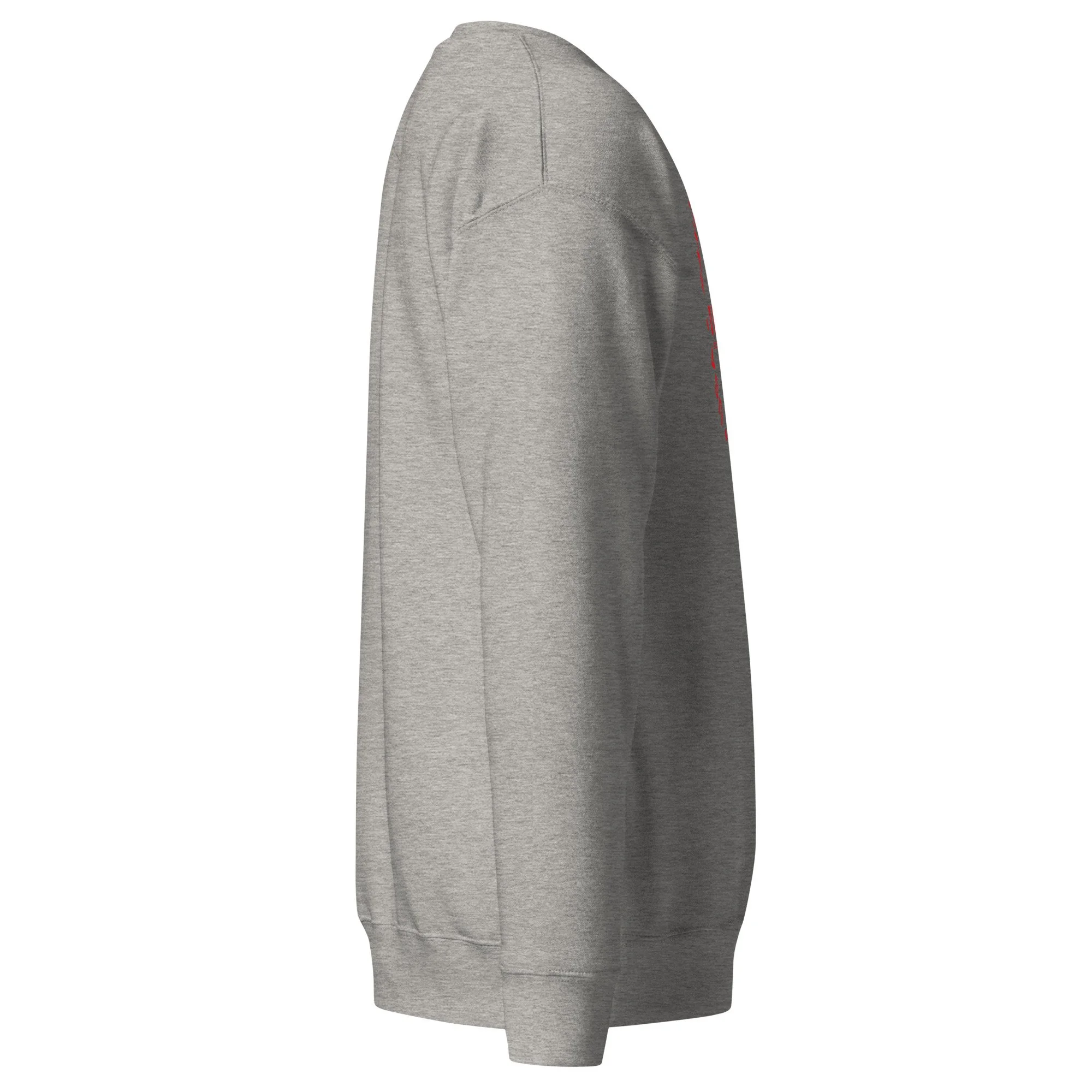 unisex-premium-sweatshirt-carbon-grey-right-69ea5f7a5ed44.jpg