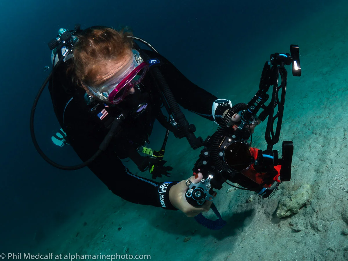 There’s right and wrong in this phrase for sure. Some pictures will not be acheivable without the right equipment but you do need to know how to use it. Many divers with cameras will have taken good pictures on occasions but knowing how you got it and being able to do it again are the route being an underwater photographer.