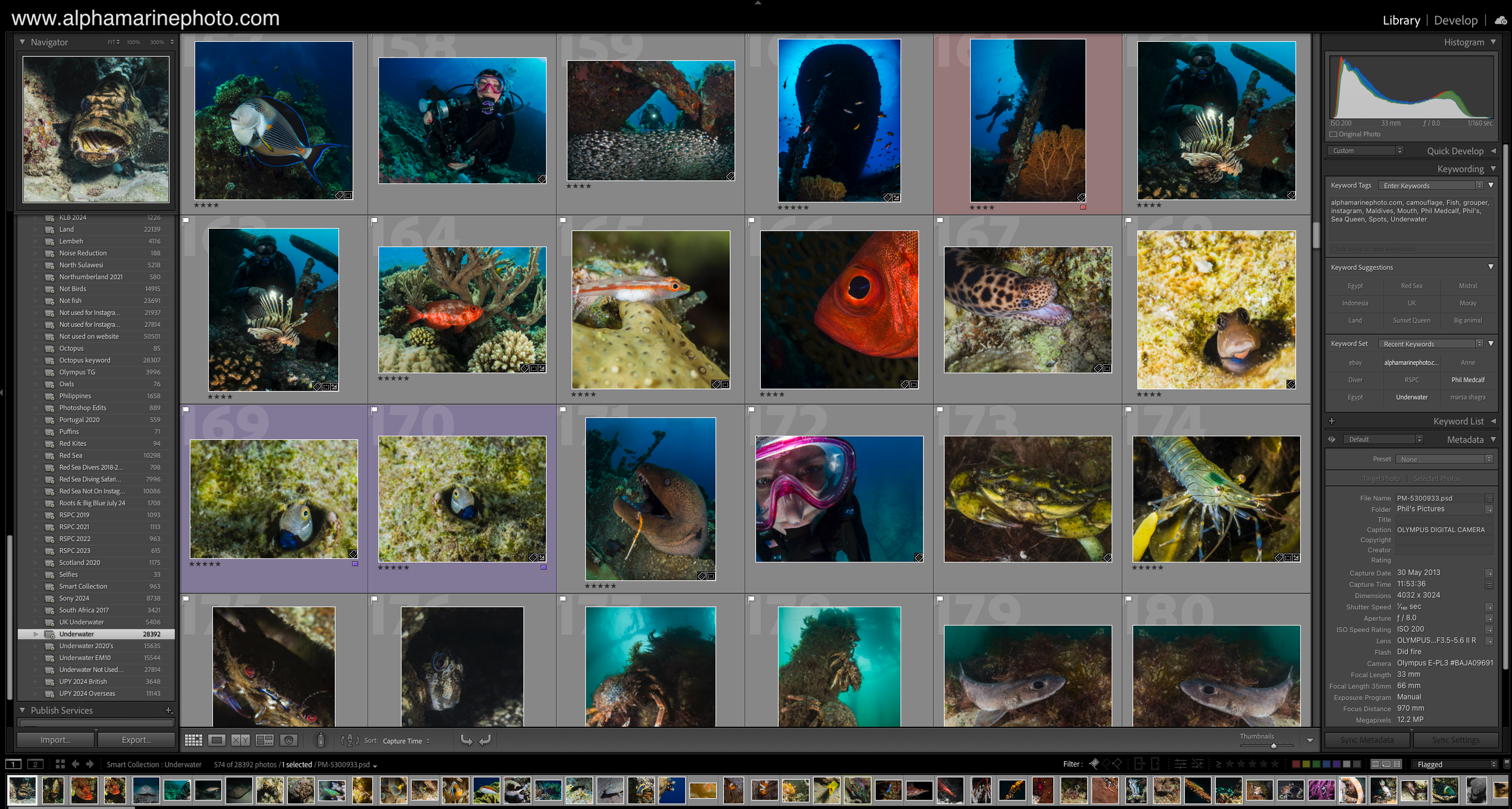 Online Course in Photo Editing for Underwater Photographers