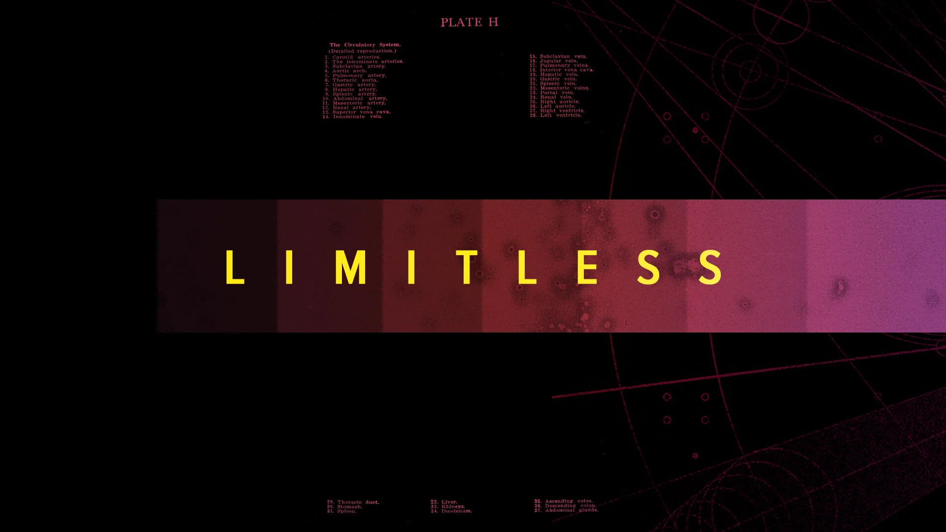 Limitless PM 13.jpg