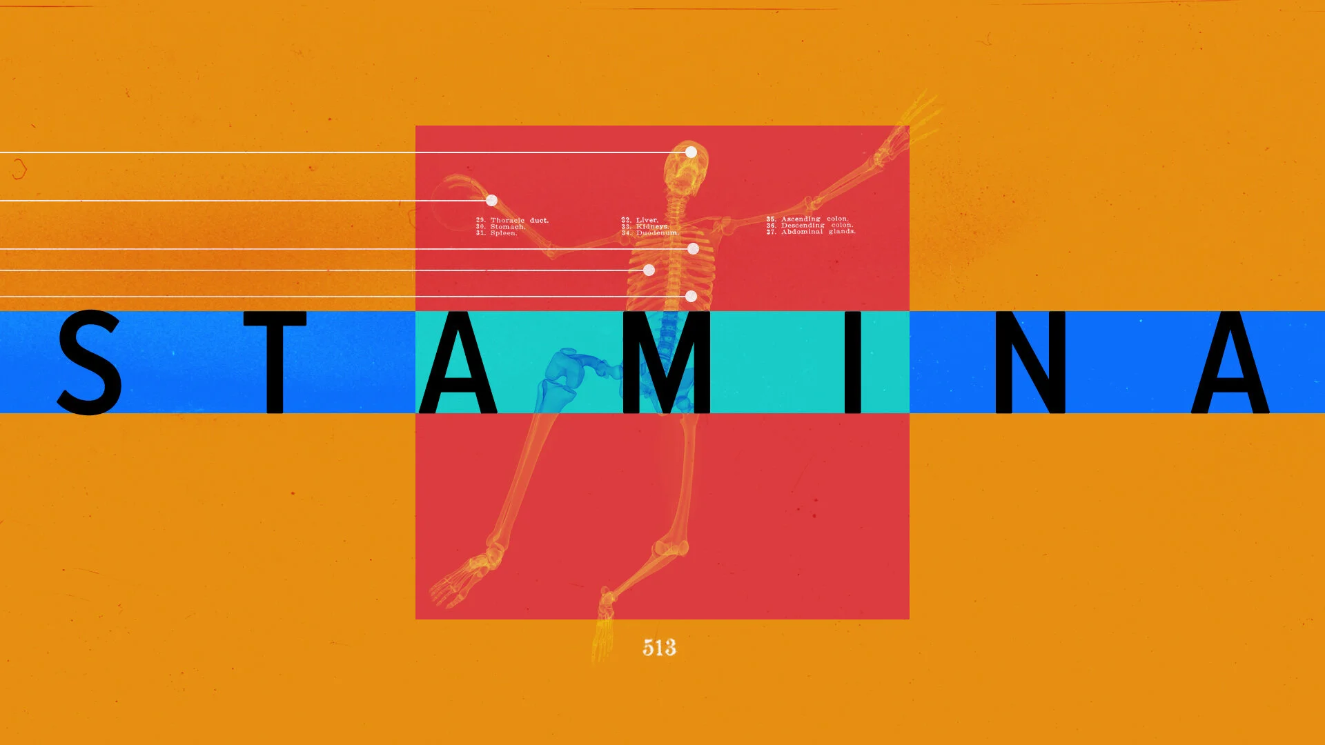 Limitless PM 15.jpg