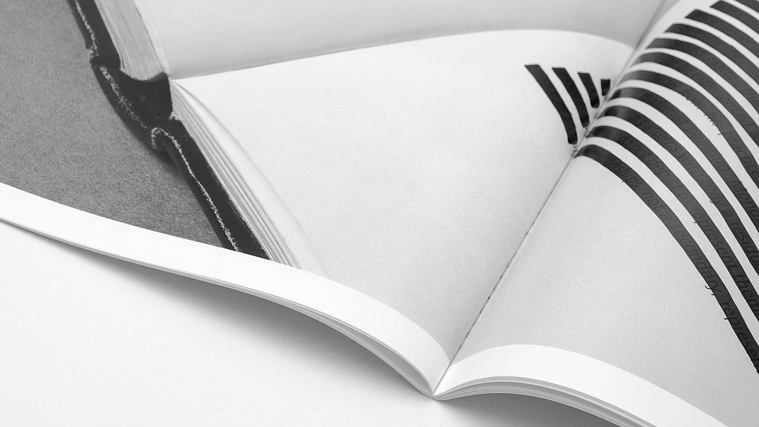 I located a copy of the original catalogue and photographed each spread of the essay after a popular, fragmented style of online documentation used for artist books—promoting the desirable material qualities of such objects over the transmission of their content.