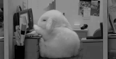 bunny tired.gif