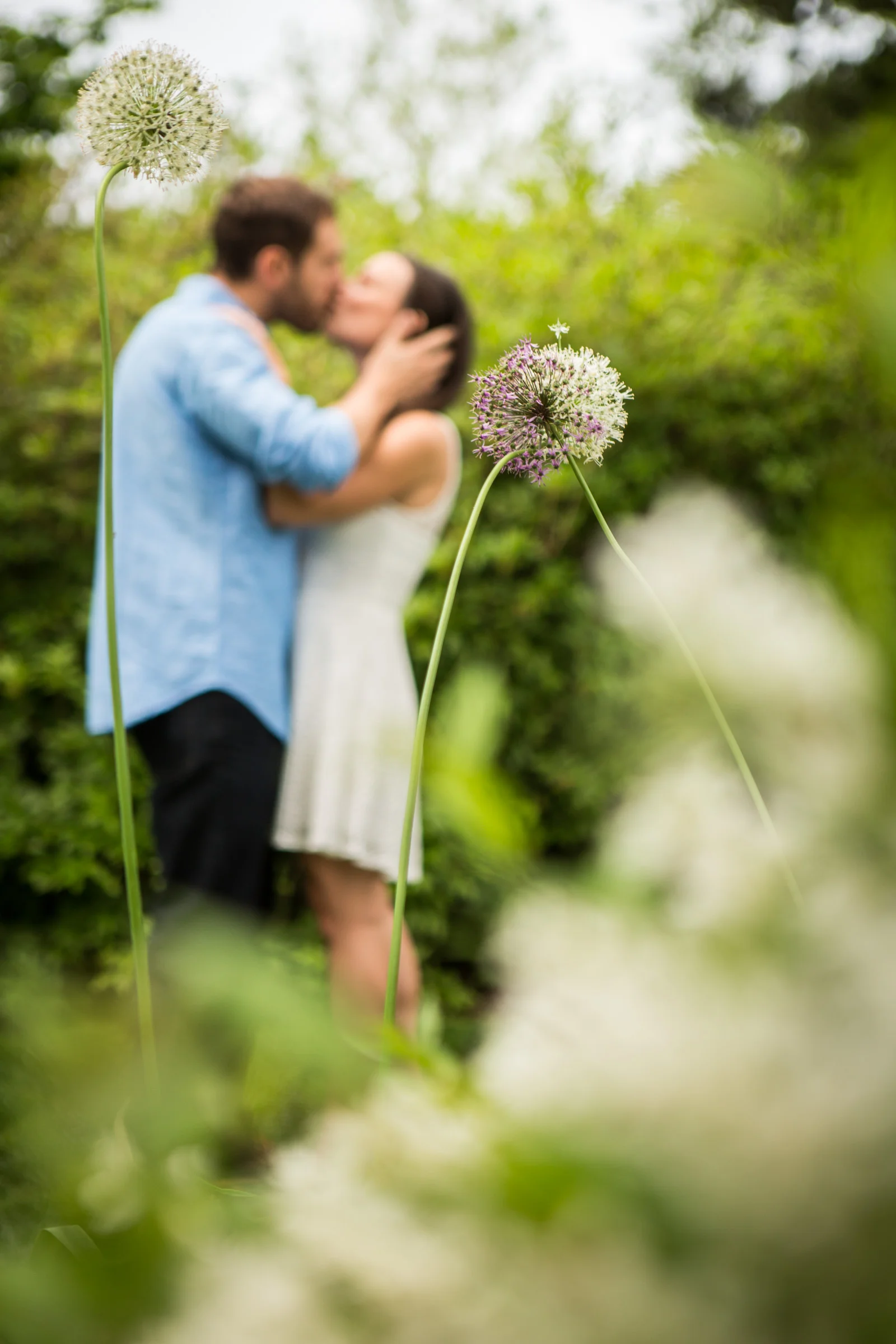 Klein-Engagement_046.jpg