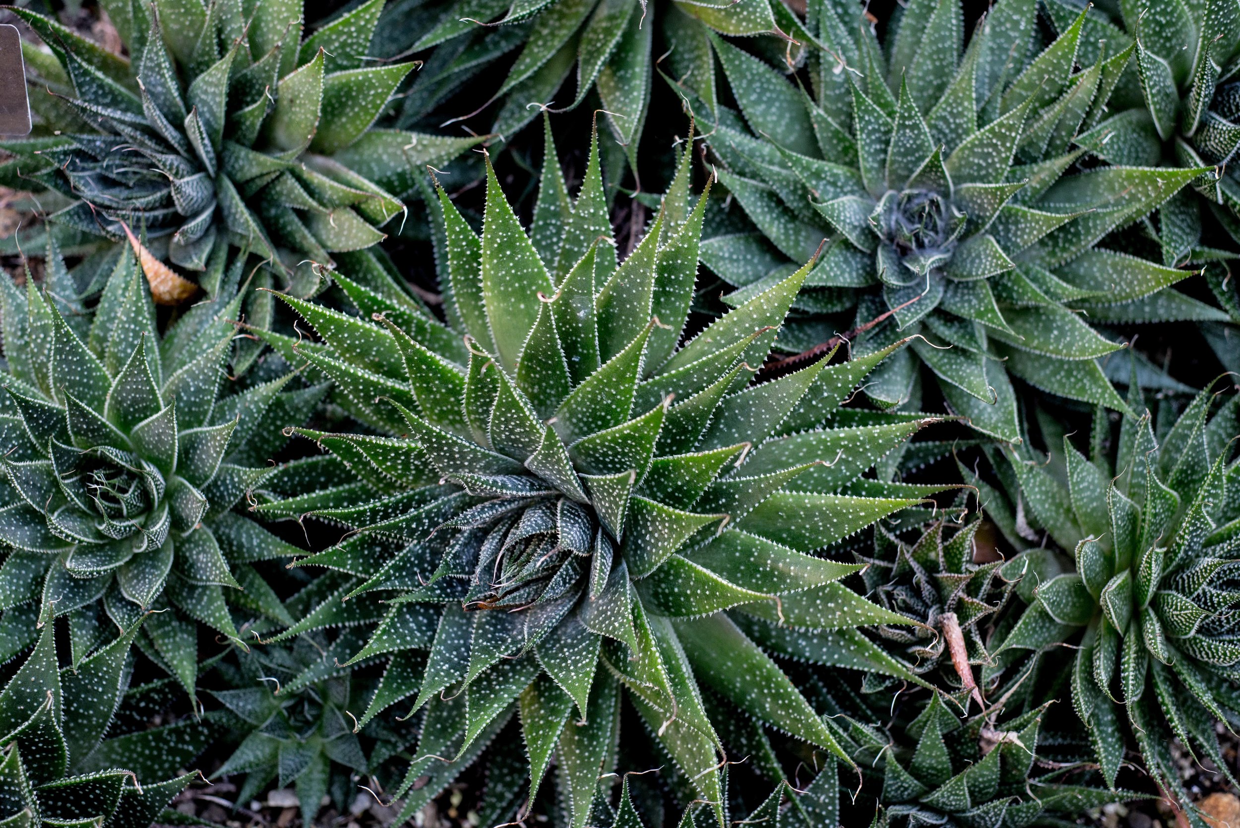 dan-wayman-1286773-unsplash.jpg