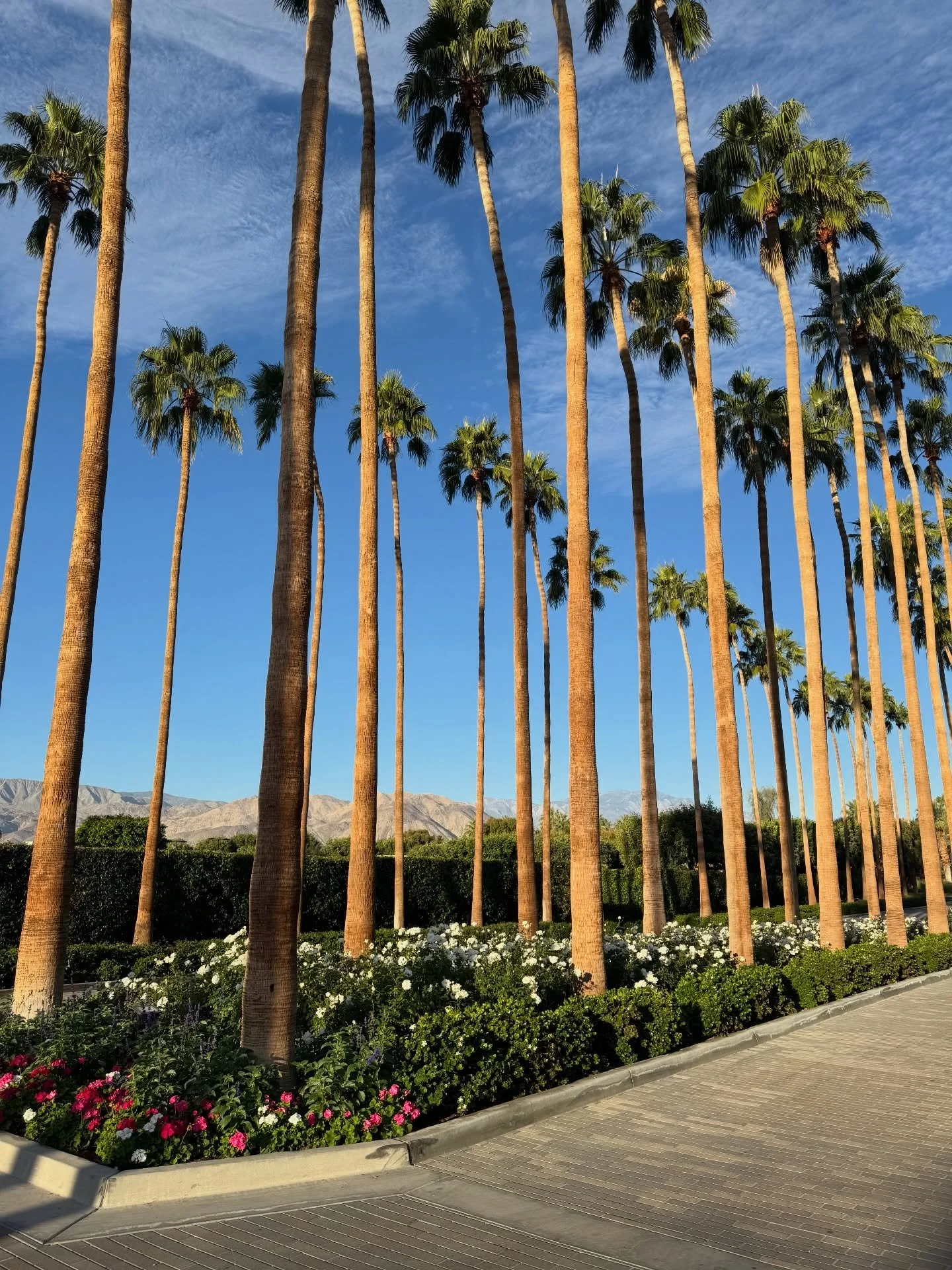 Who&rsquo;s going to the BNP Indian Wells tournament first week of March? We will be there. Looking to play tennis in the desert? We&rsquo;d love to facilitate a private clinic for you and your friends. Let us know! #joinCityTennis #bnpparibas #tenni
