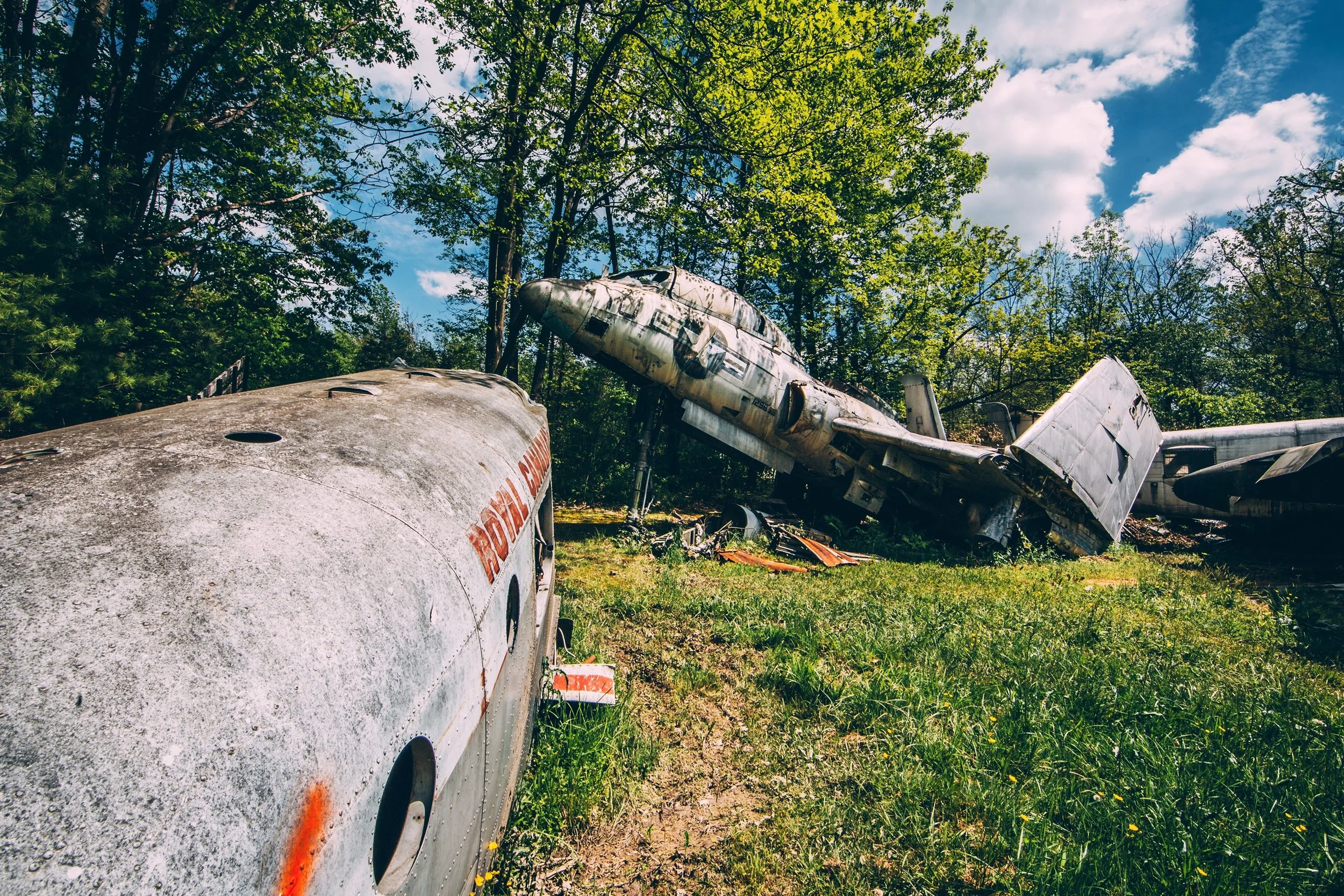 Copy of @Pimpmycamel