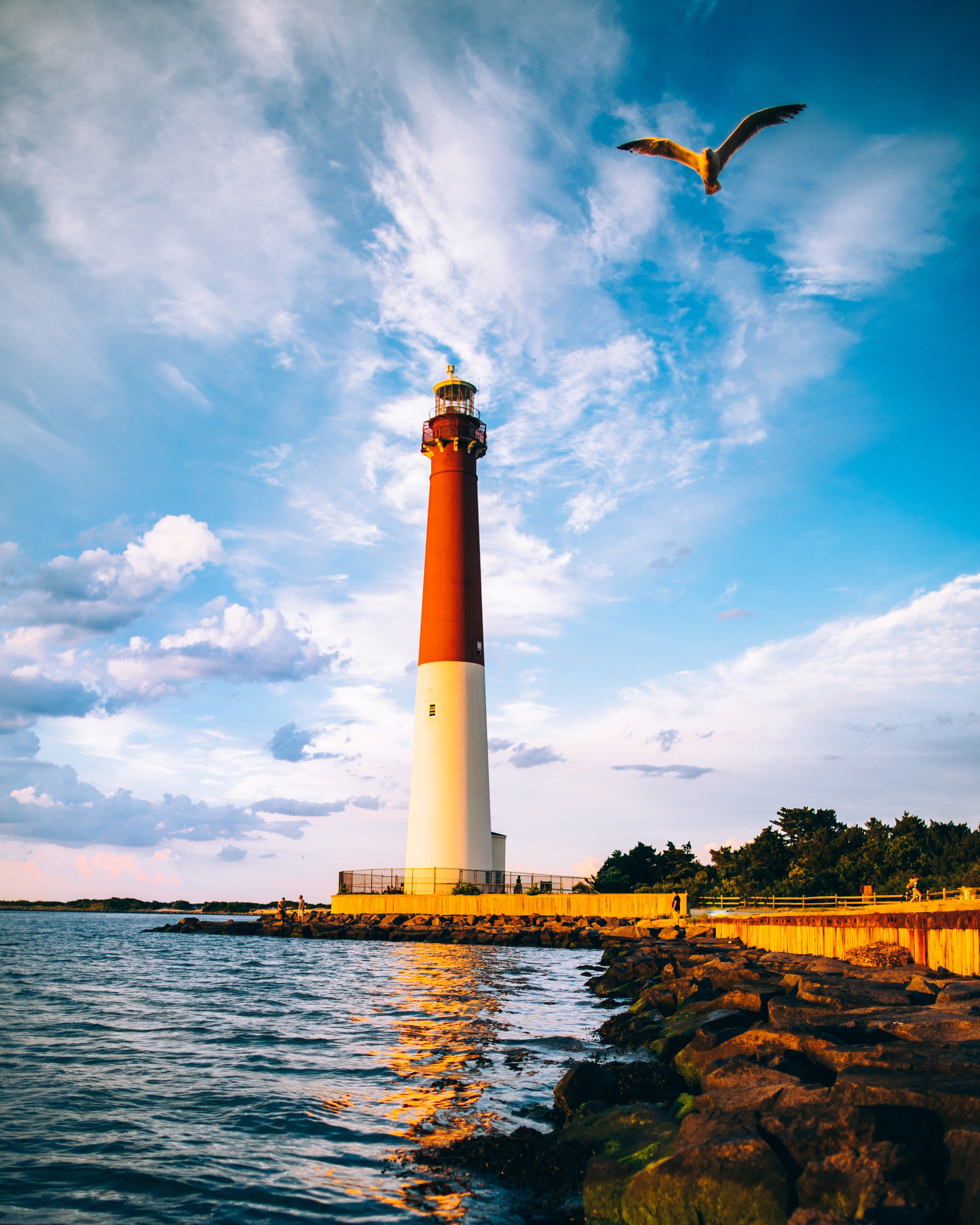 Babybull-Lighthouse-16x20.jpg