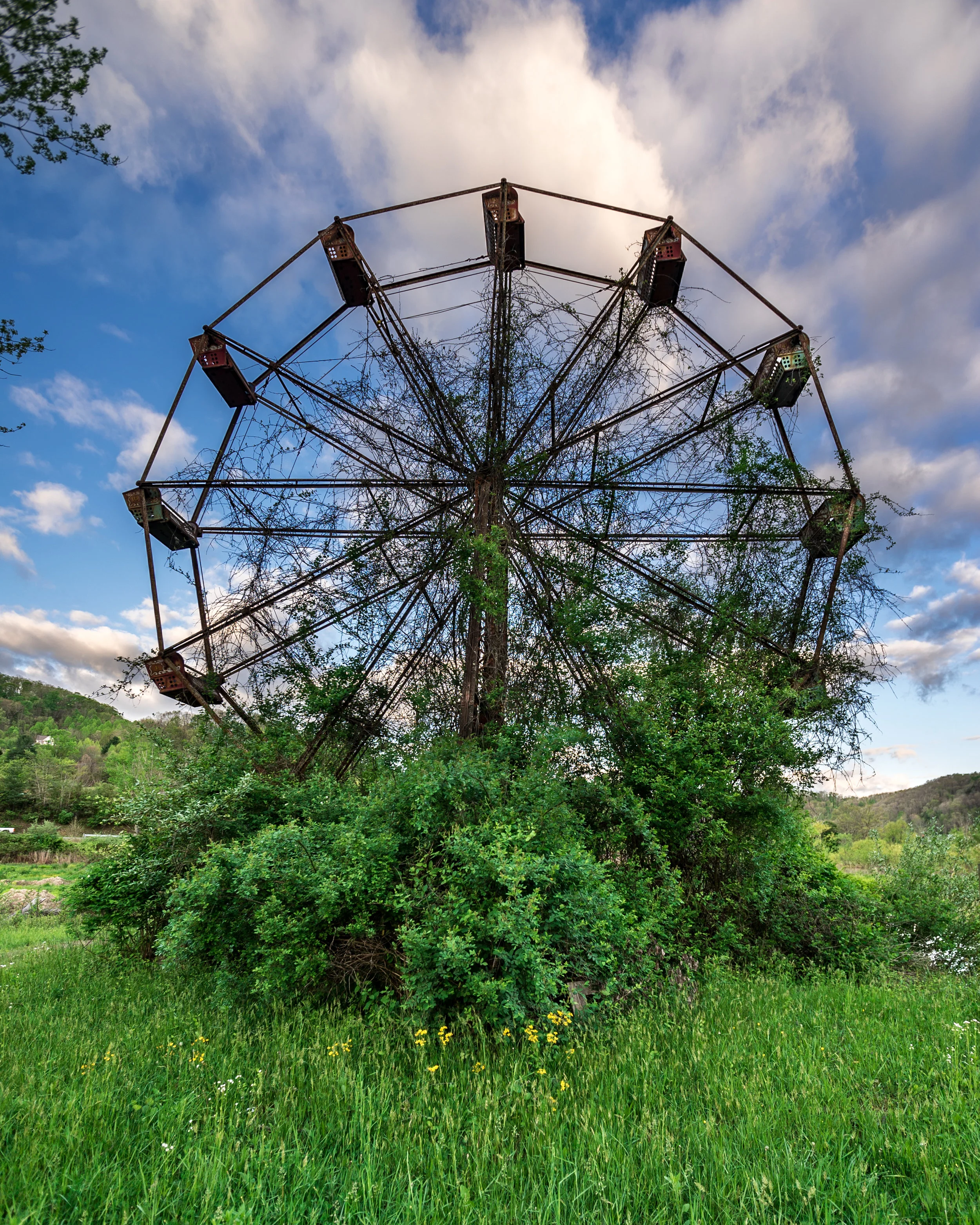 VW-Ferris-Wheel-Print.jpg