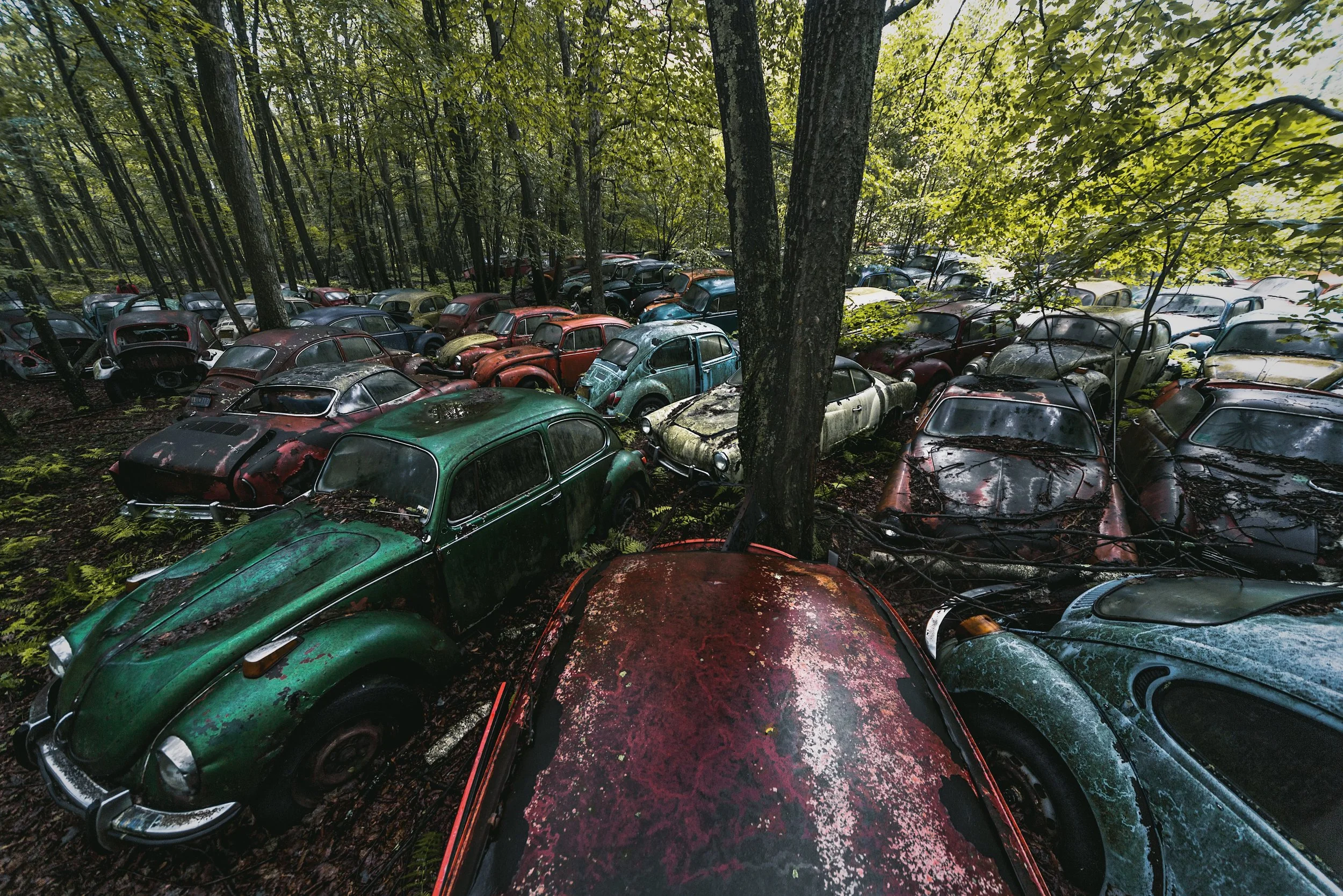 Image result for vw graveyard pa