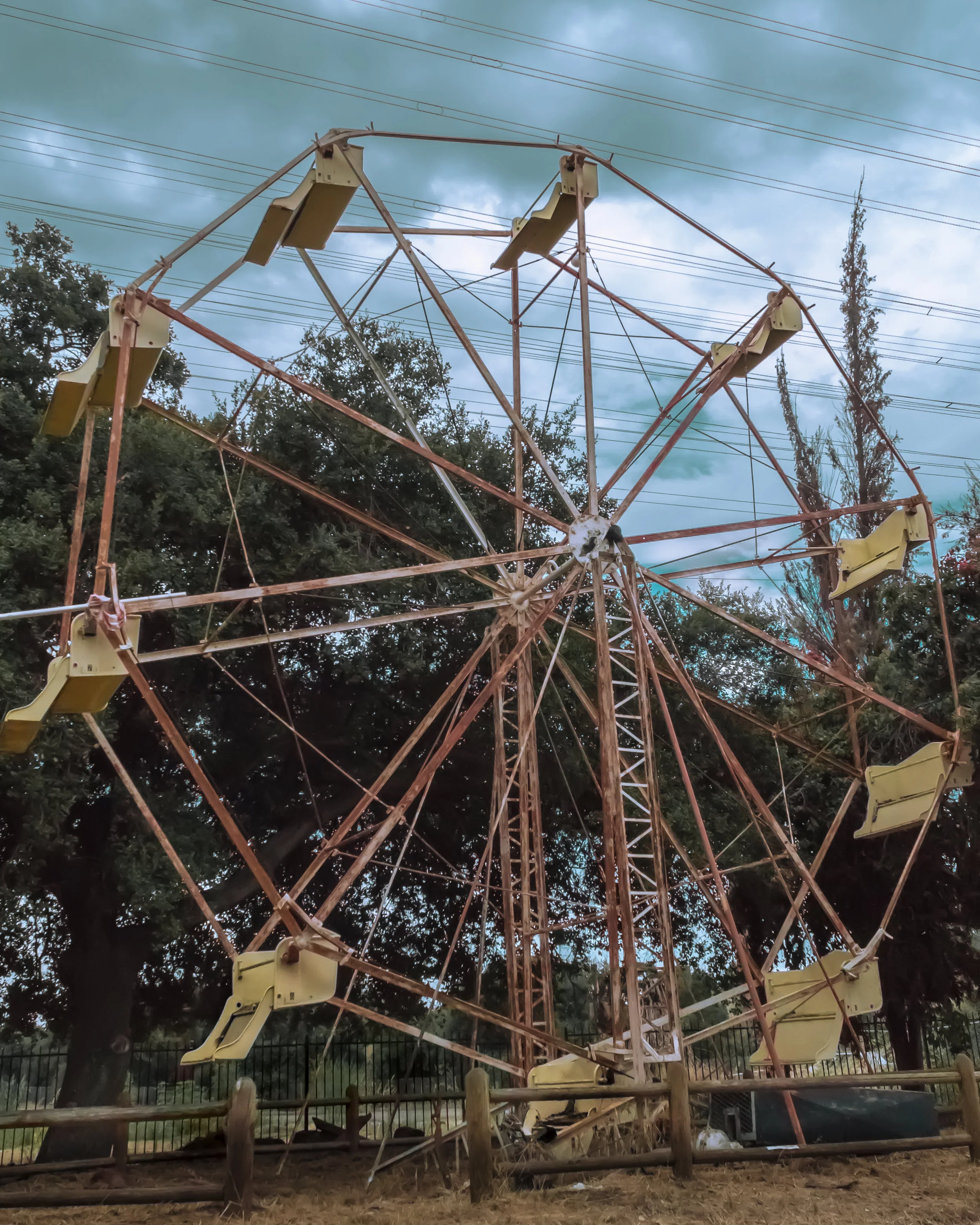 jaz-print-ferris-wheel.jpg