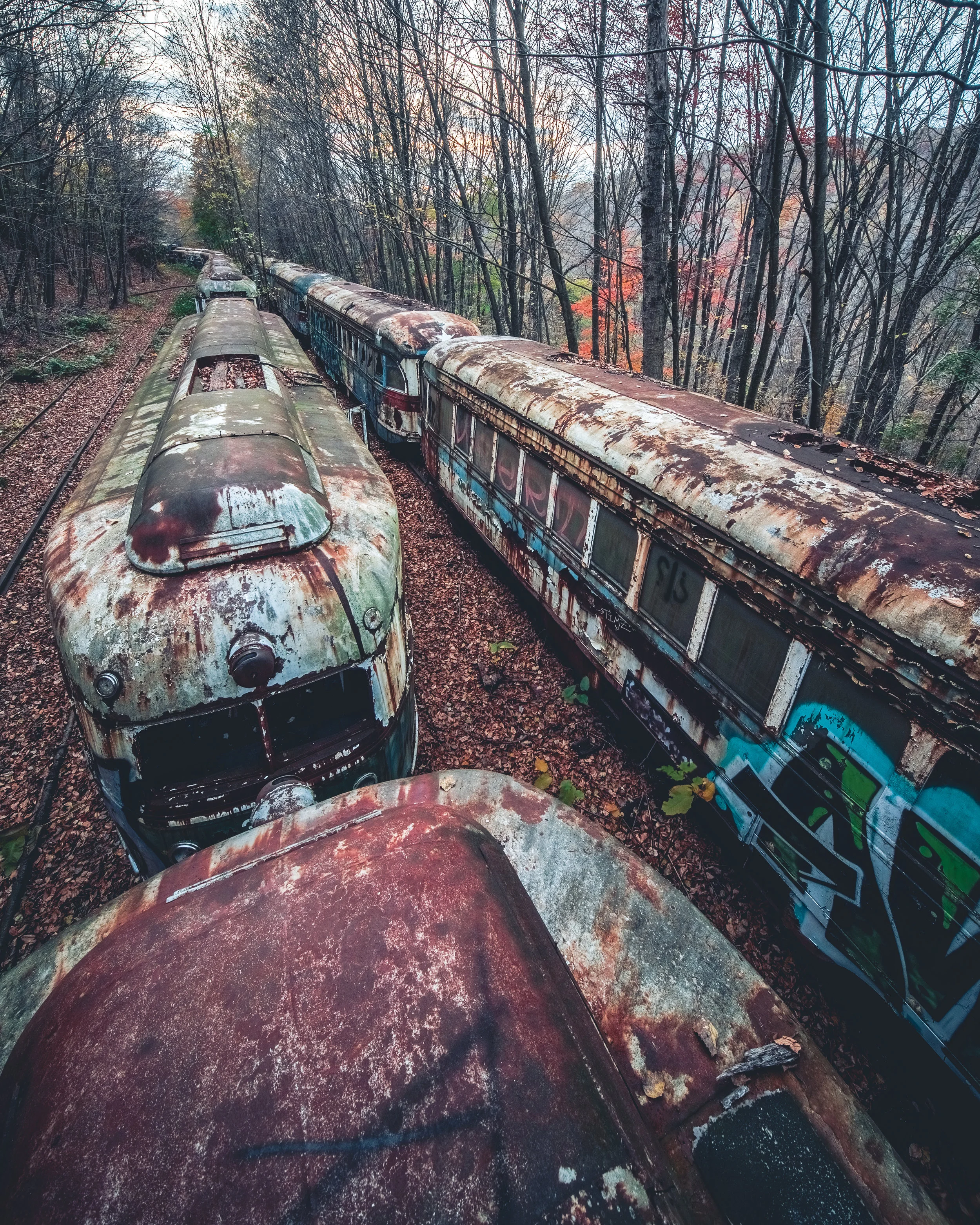 Trolley-Graveyard-print.jpg