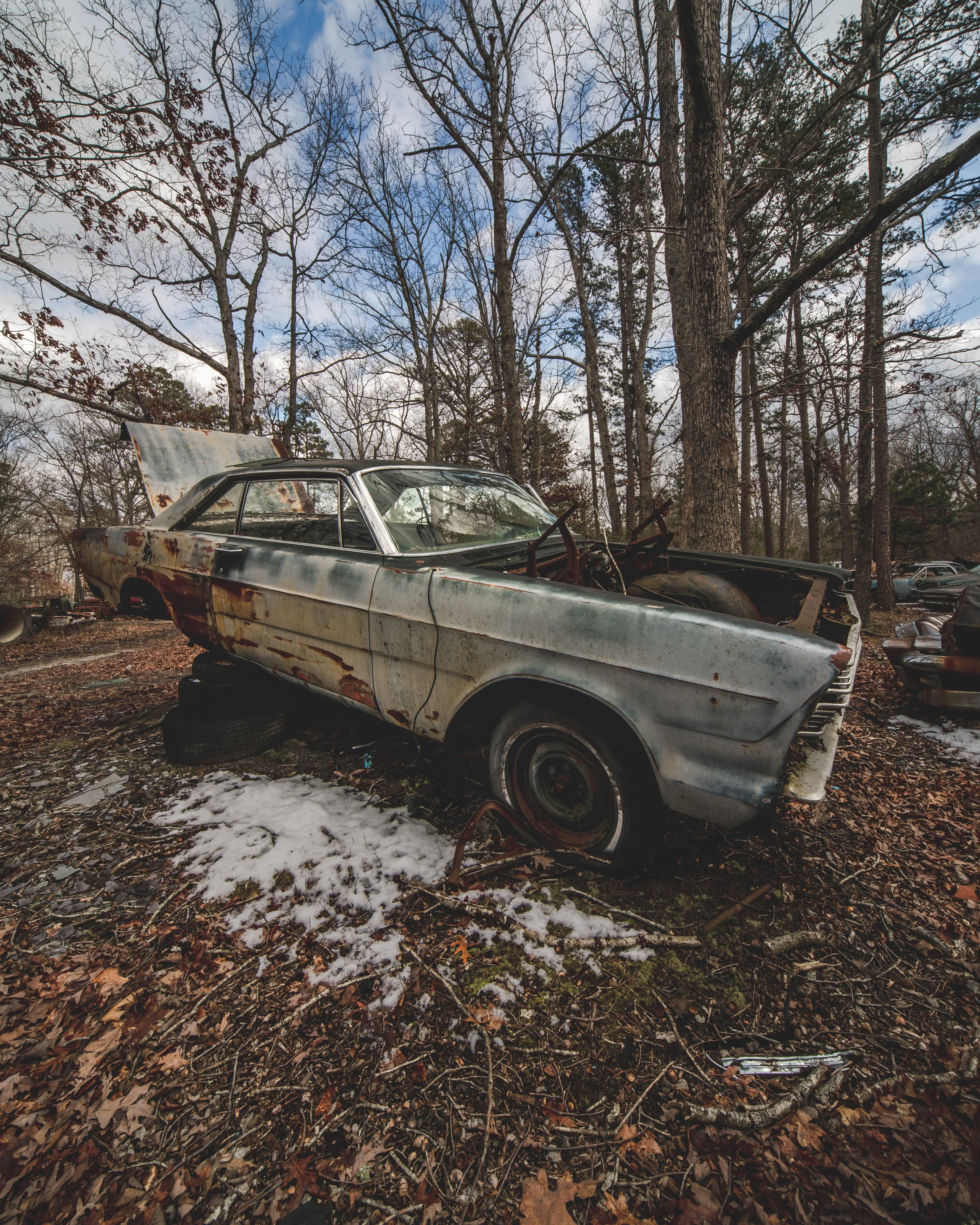 Fleming-car-on-wheels.jpg