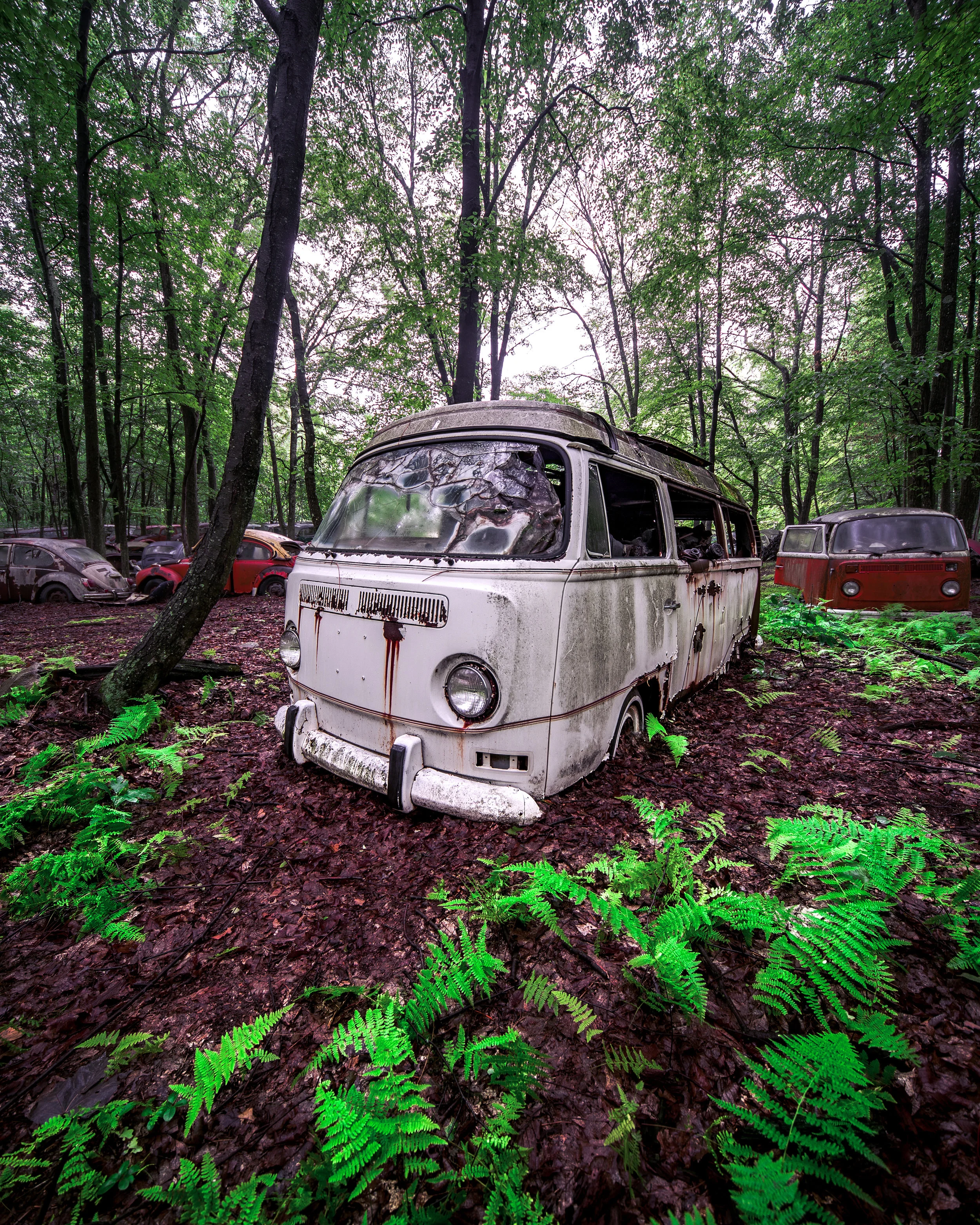 VW-wagon-print.jpg