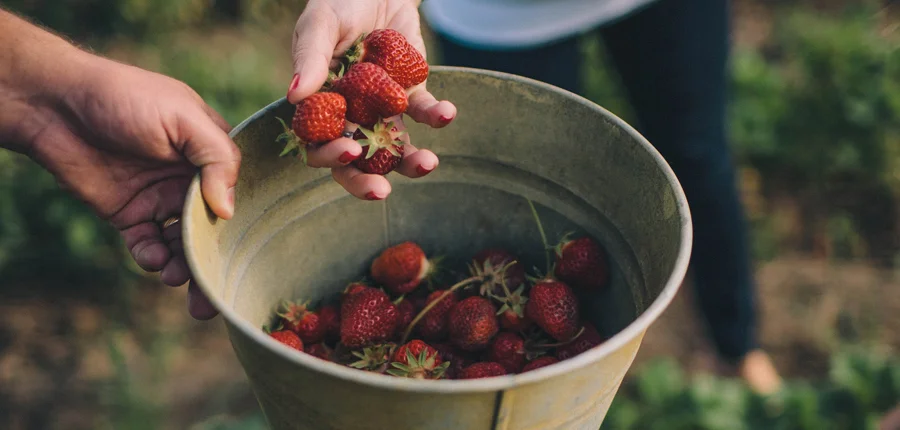 EL ROI: THE GOD WHO SEES ME