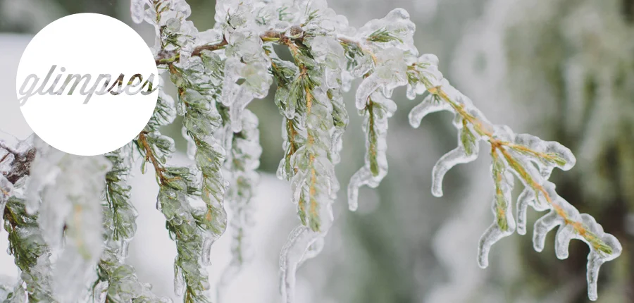 THOUGHTS ON... faith and fear and hiding hogs