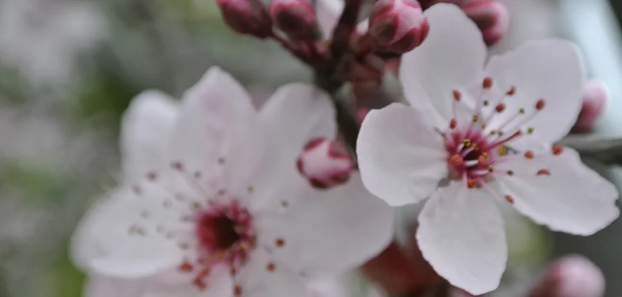 EVERYDAY FAITHFULNESS