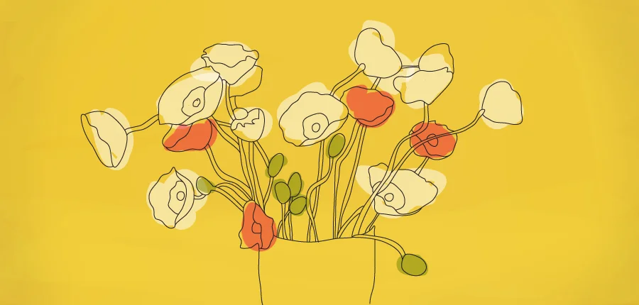 WHERE TO FIND A BEAUTIFUL WOMAN