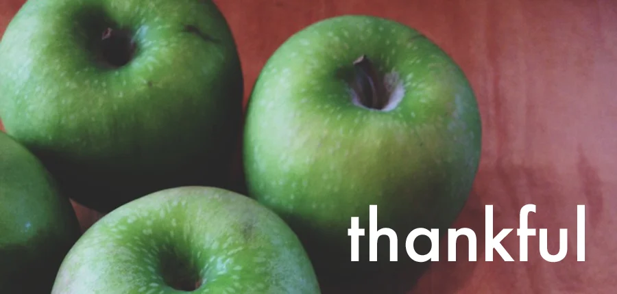 THANKSGIVING AT OUR HOUSE