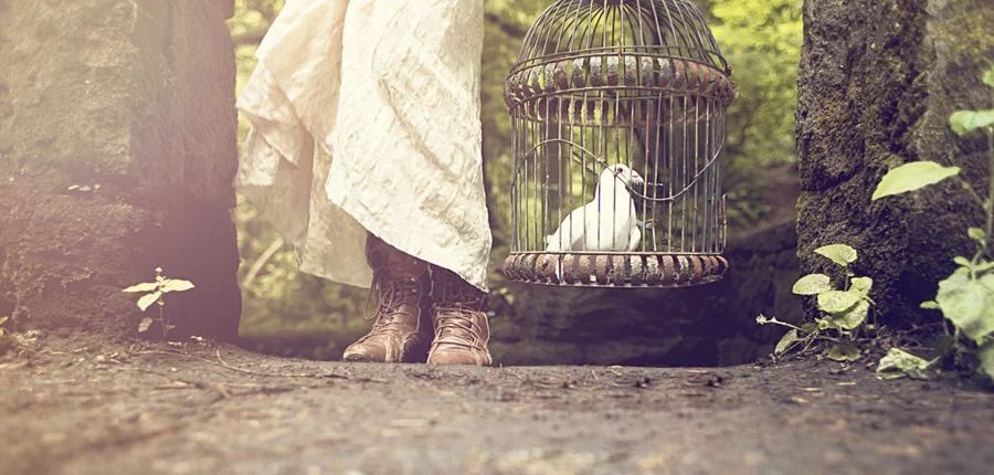 LET THE WHOLE WORLD KNOW